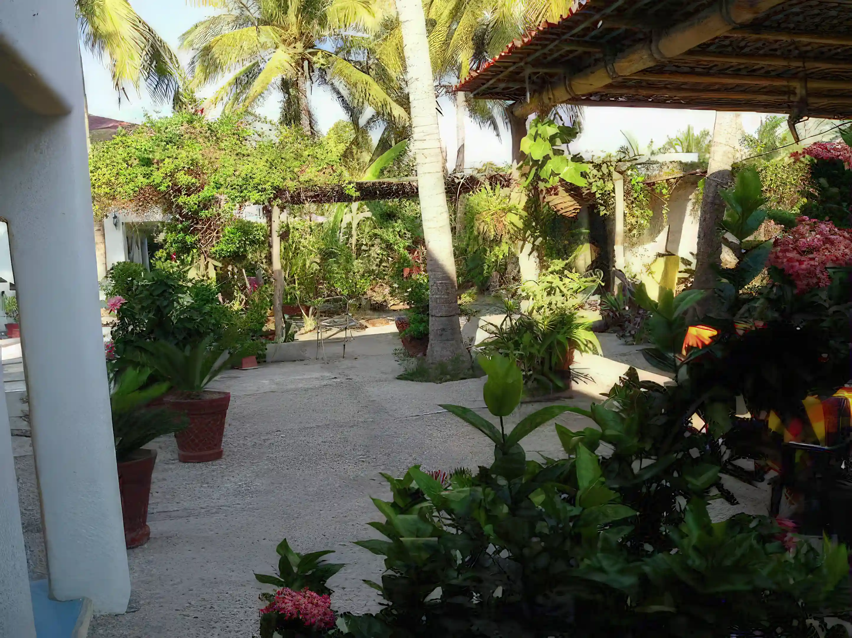 Hotel patio and entrance area