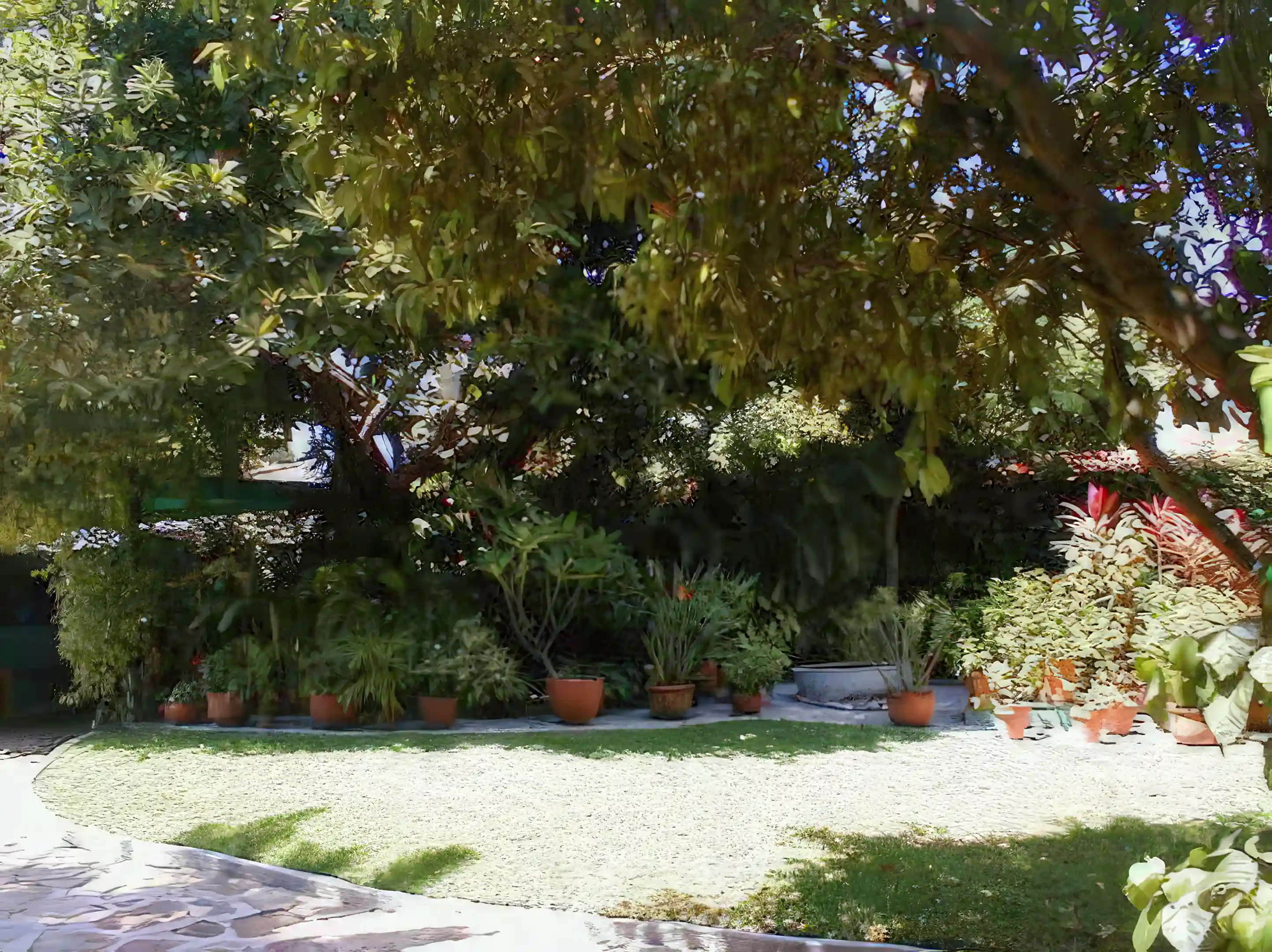 Plantas and part of lawn area