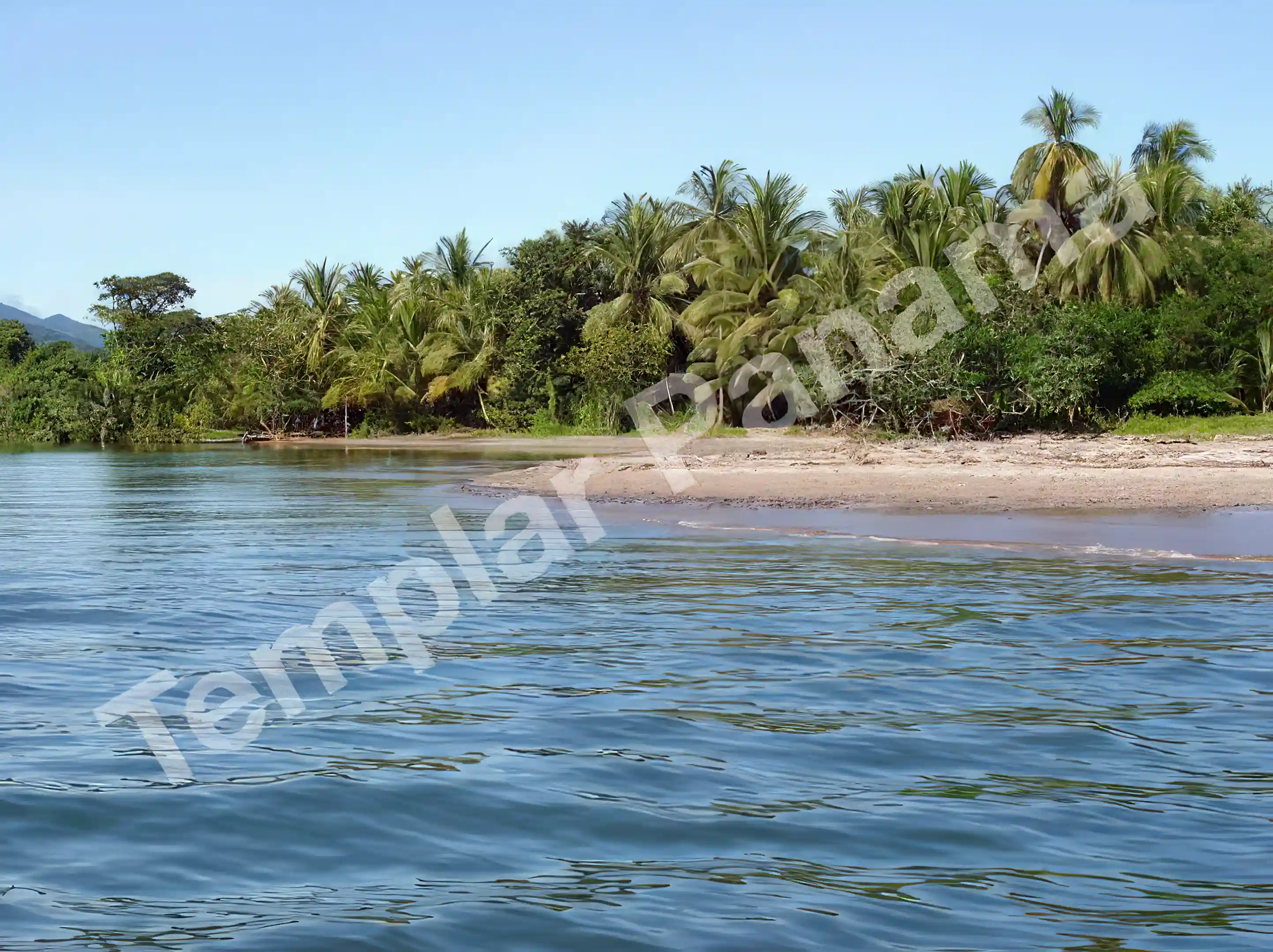 Lot/Land for Sale in Calovebora, Varaguas, Panama