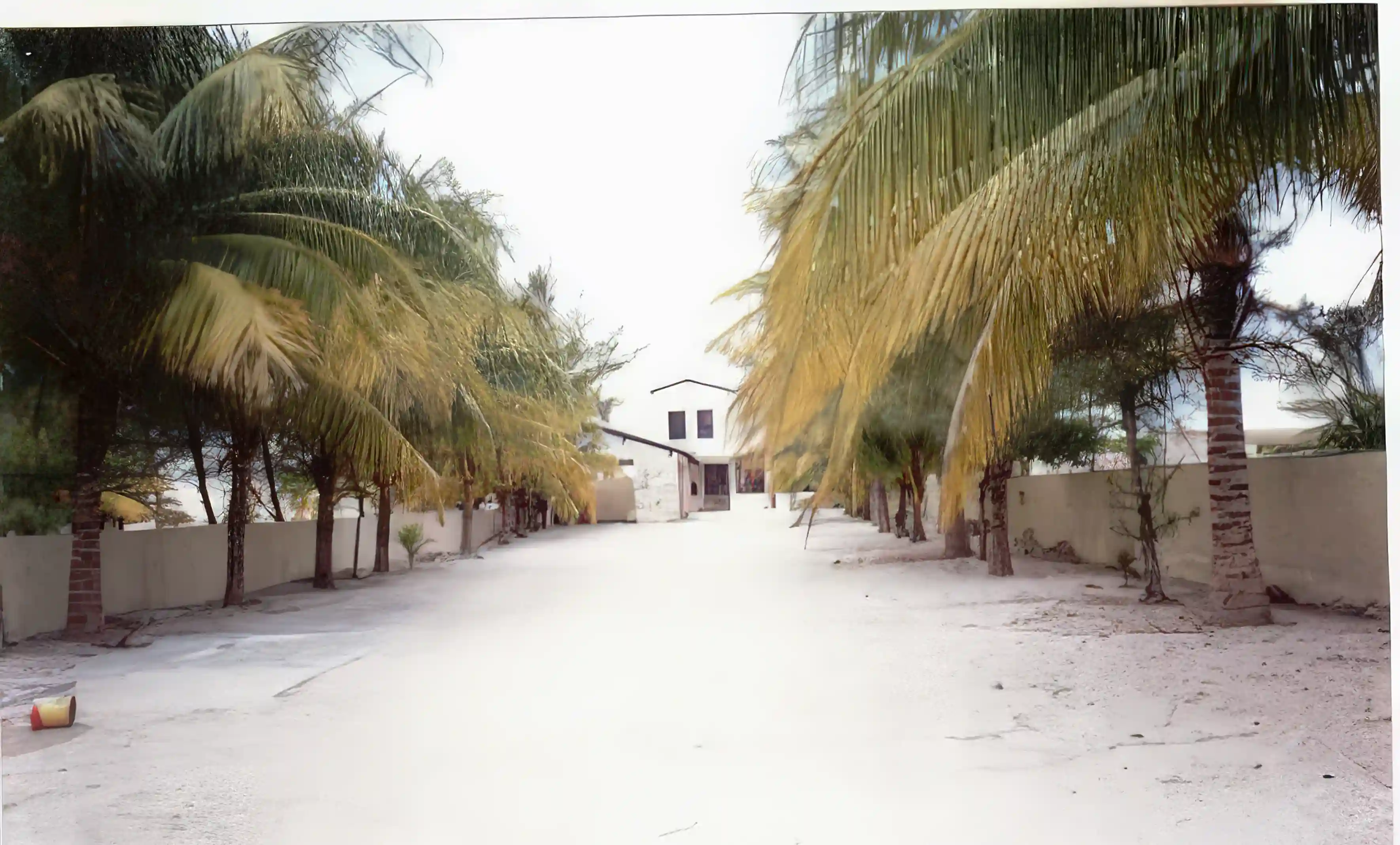 Home for Rent in Yucatan/Progreso, Mexico