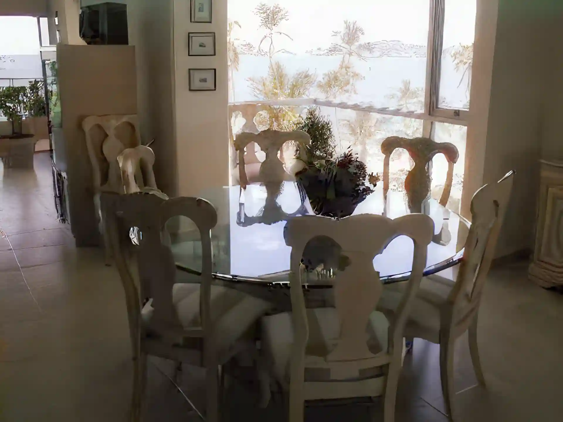 VIEW FROM DINING ROOM