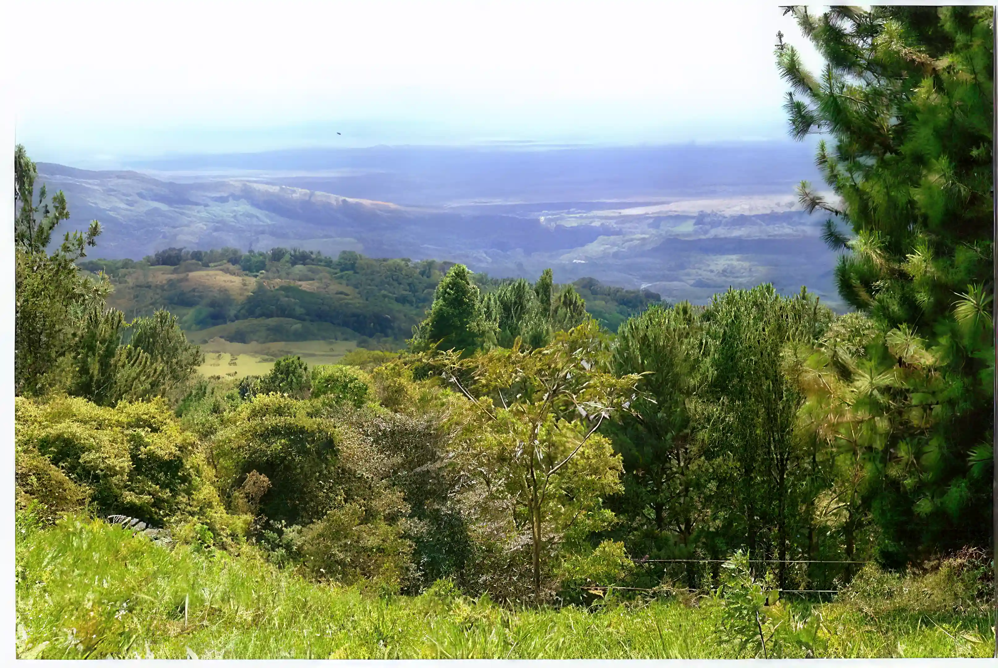 Lot/Land for Sale in Boquete, Chiriqui, Panama Viviun