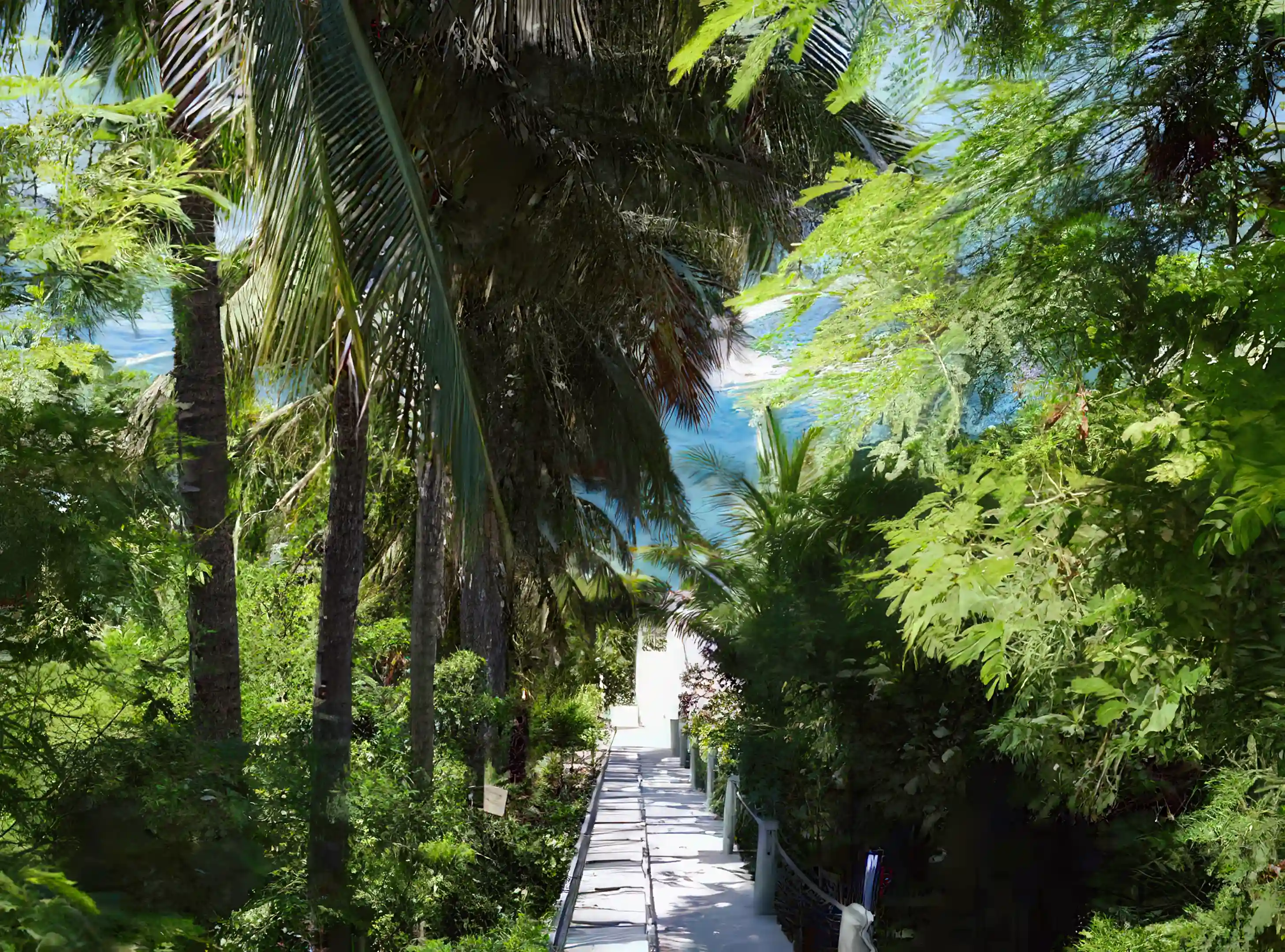 Walk way steps to ocean side villa and Elevator