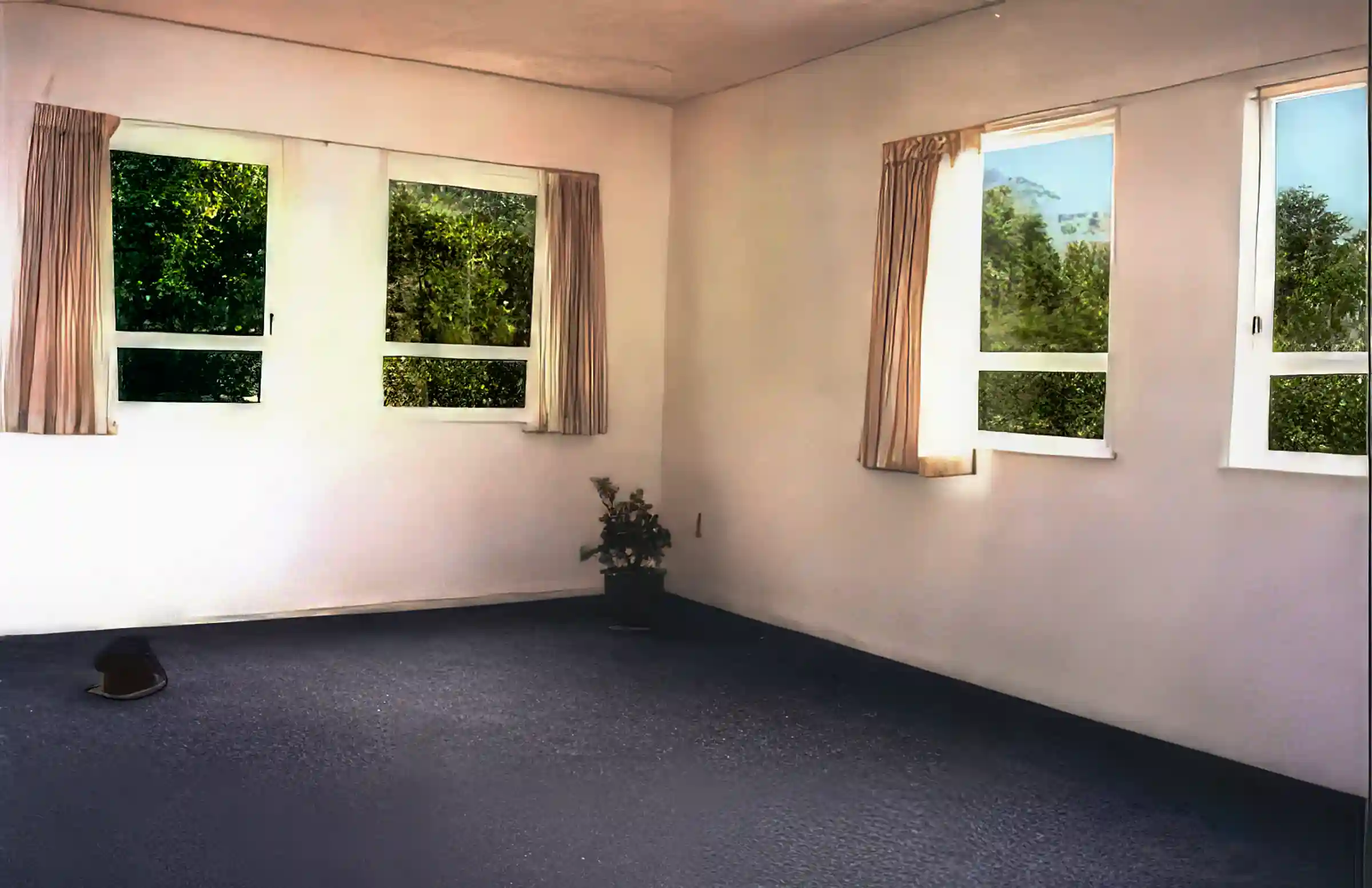 Apartment for Sale in New Zealand