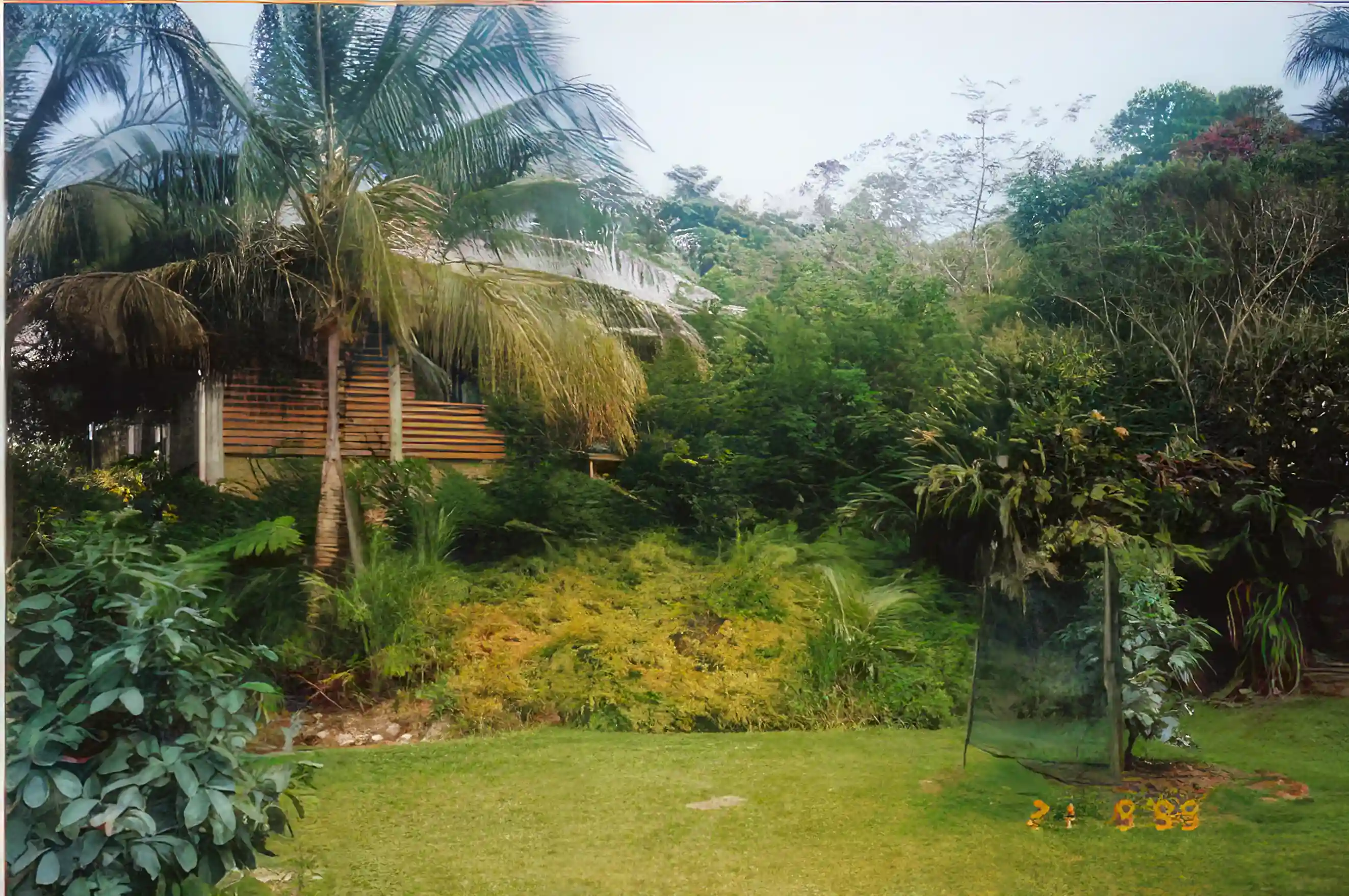 Rural Retreat for Sale in Queensland, Australia
