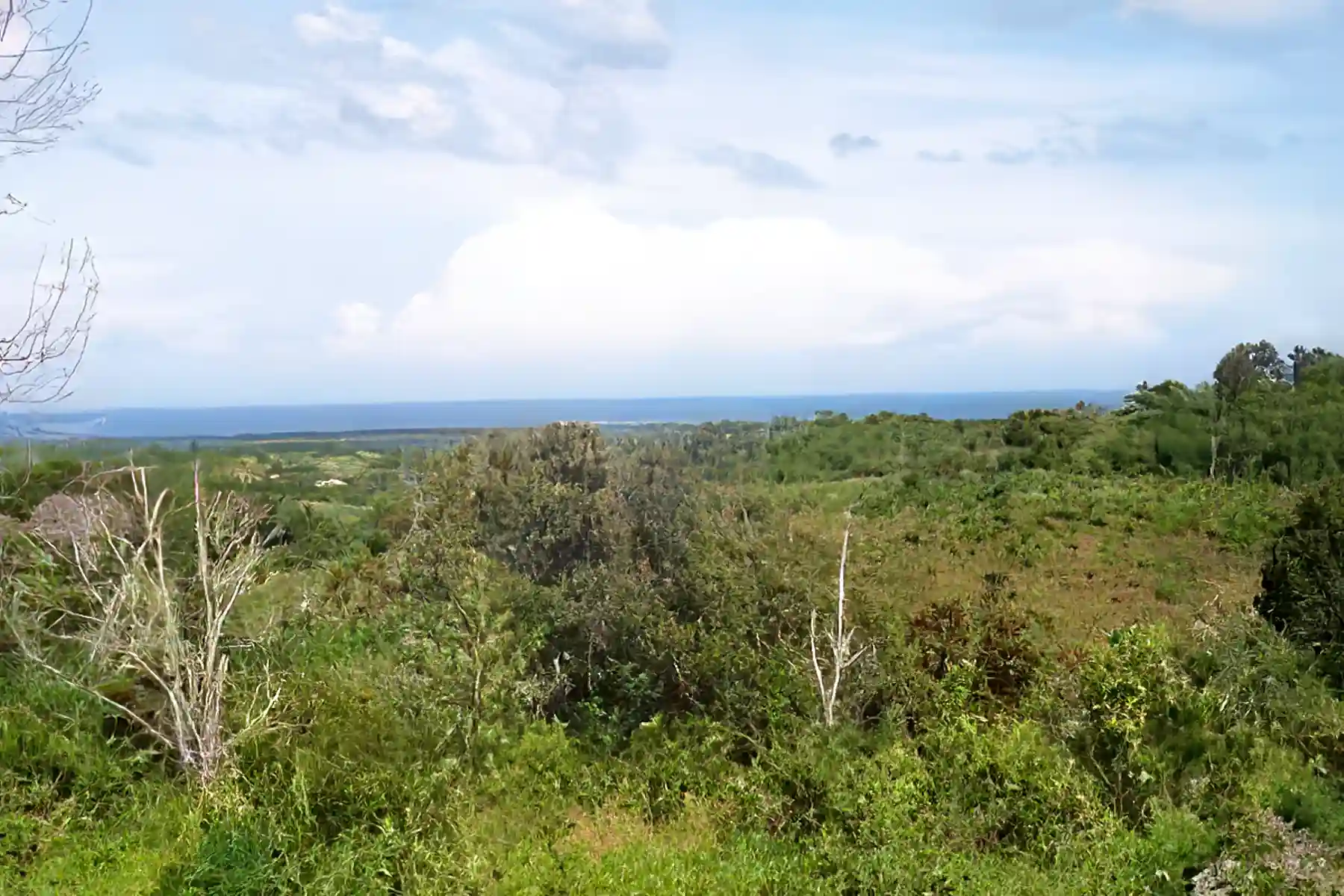 Farm/Ranch for Sale in Near Sosua, North Coast, Dominican Republic