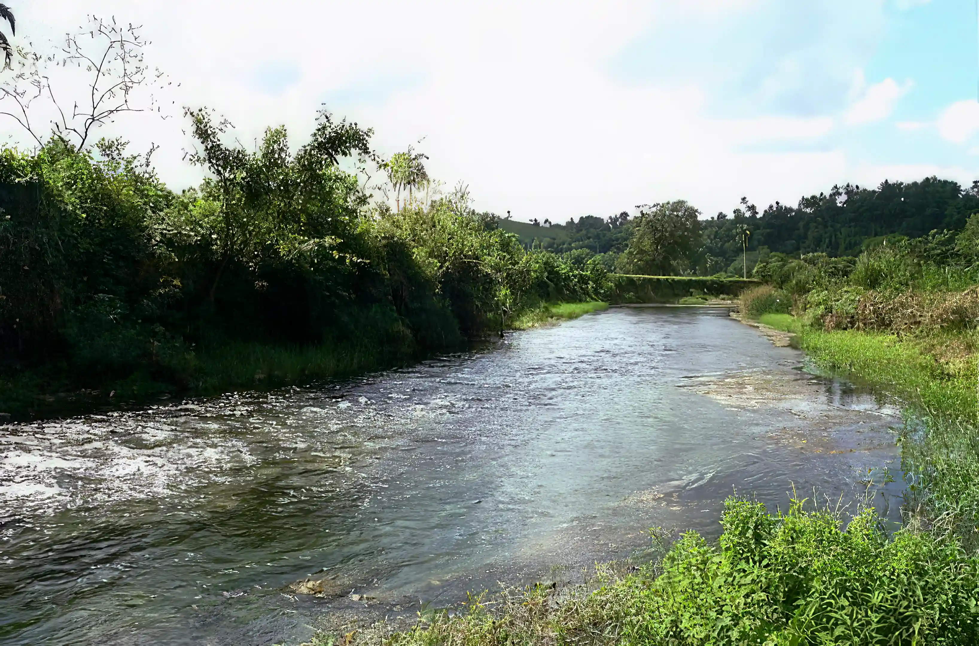 Farm with Beautiful House for Sale in Dominican Republic