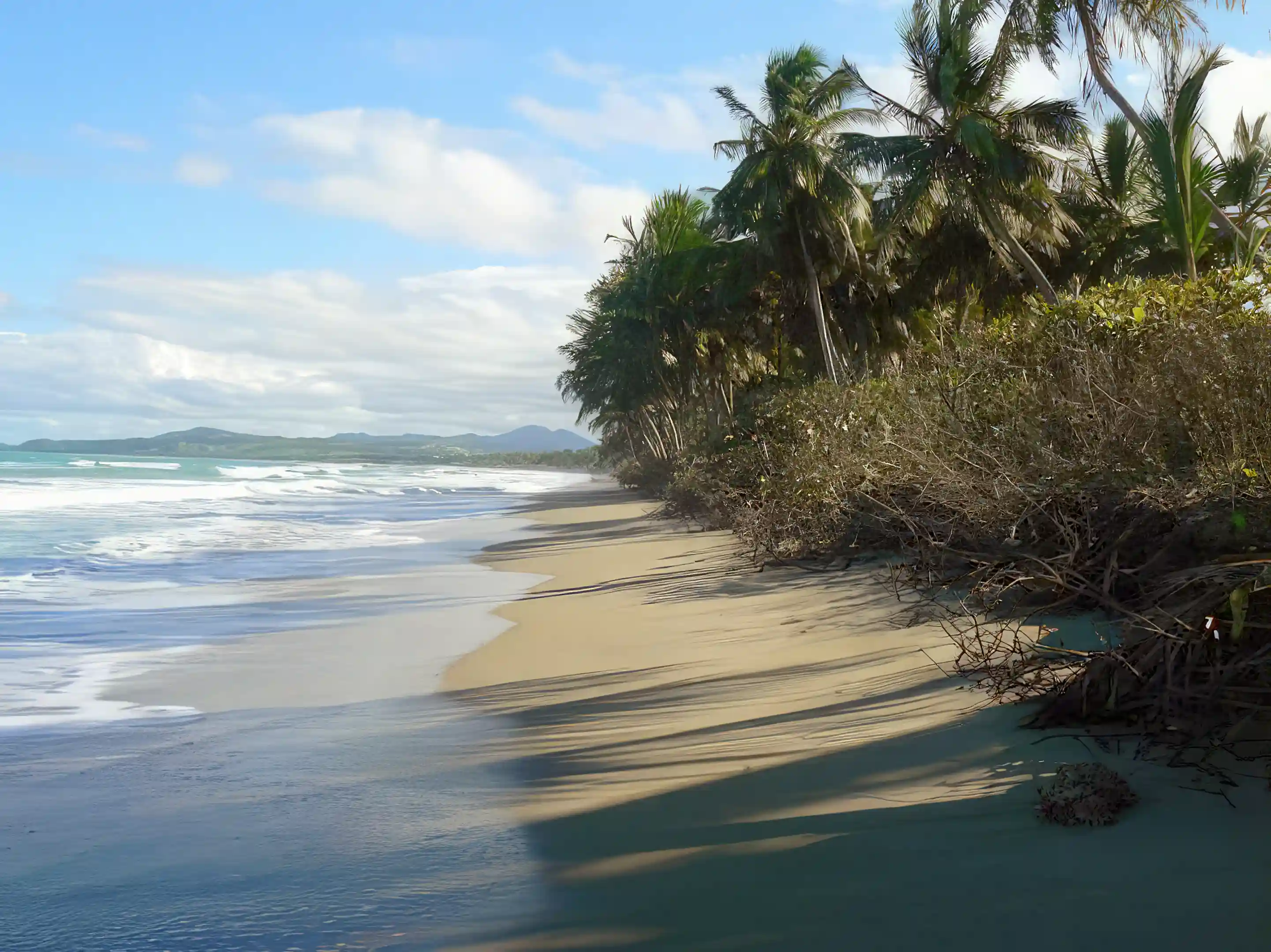 View in front of Beach looking east