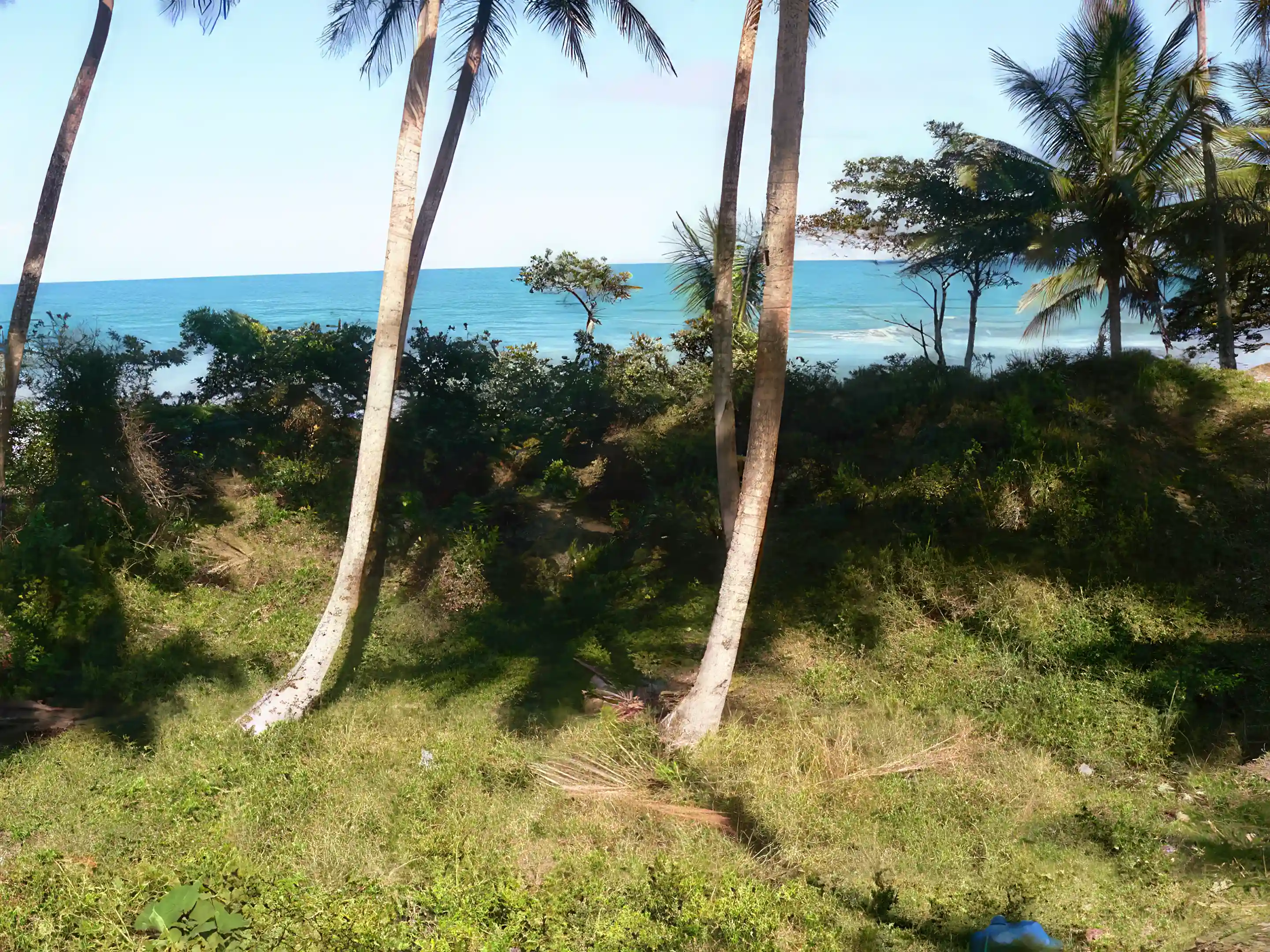 Same view from protected building site looking a bit more...