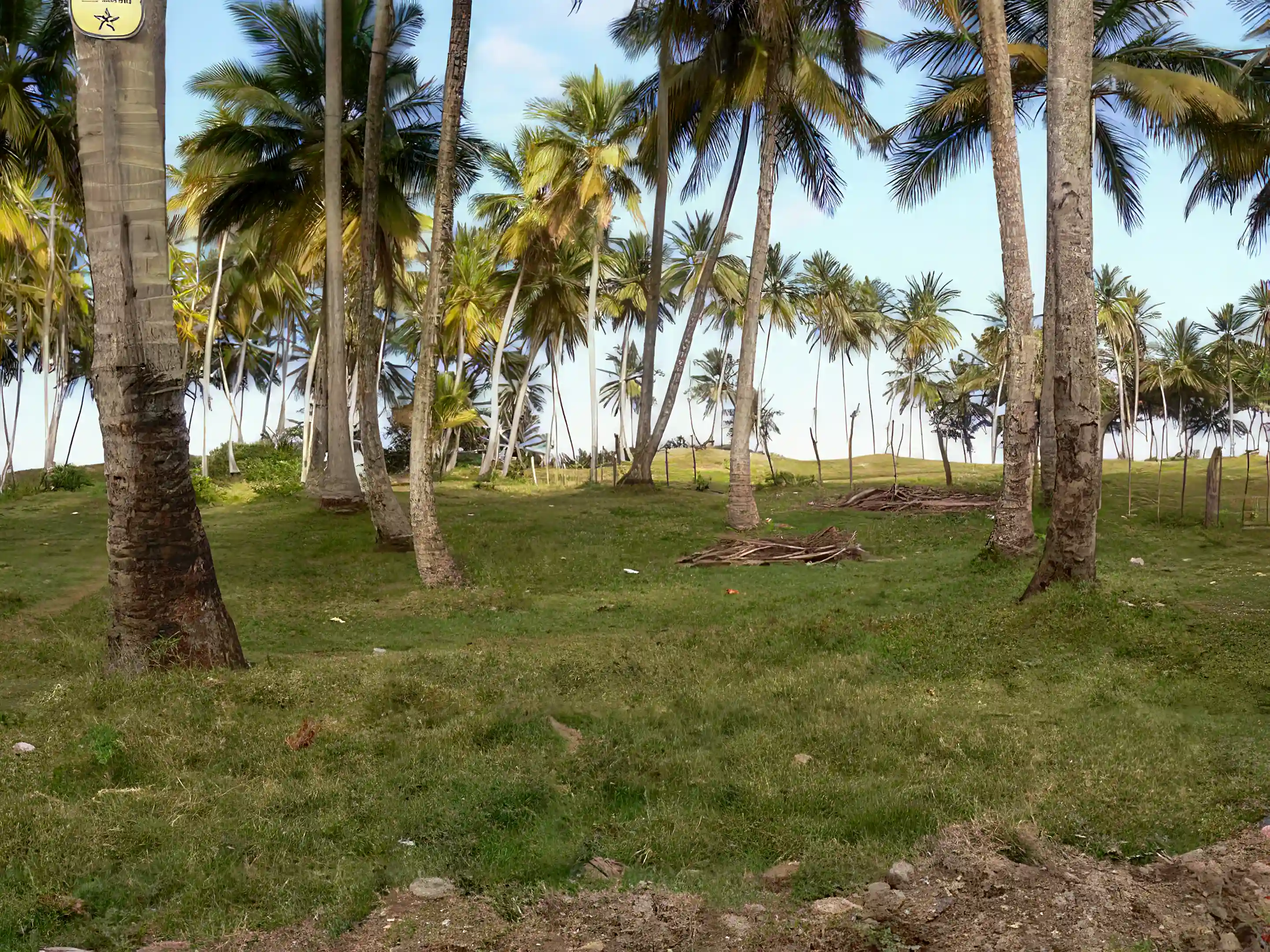 View of lot taken from the road looking to the...