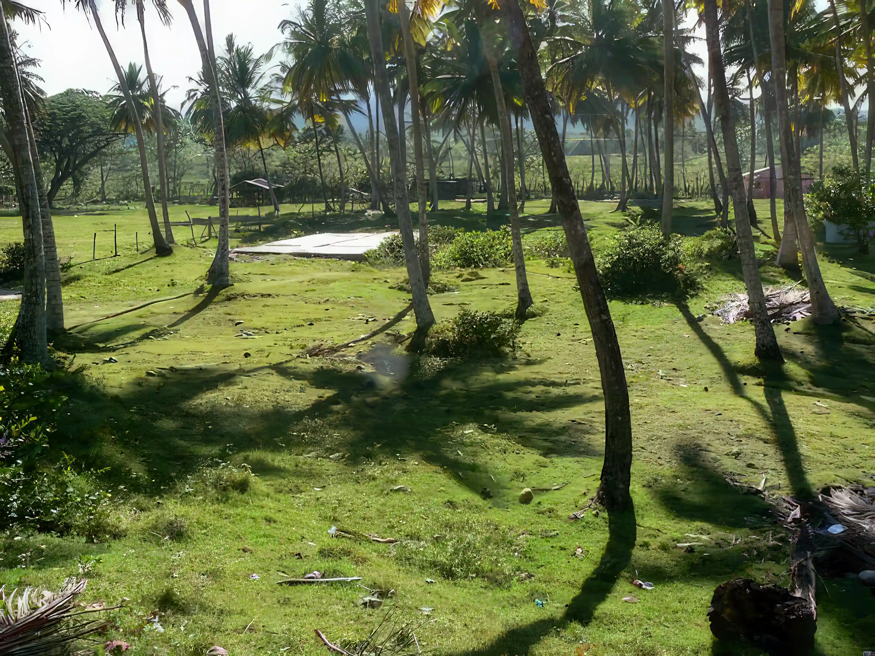 View from building site looking a bit South-southeast. New Septic...