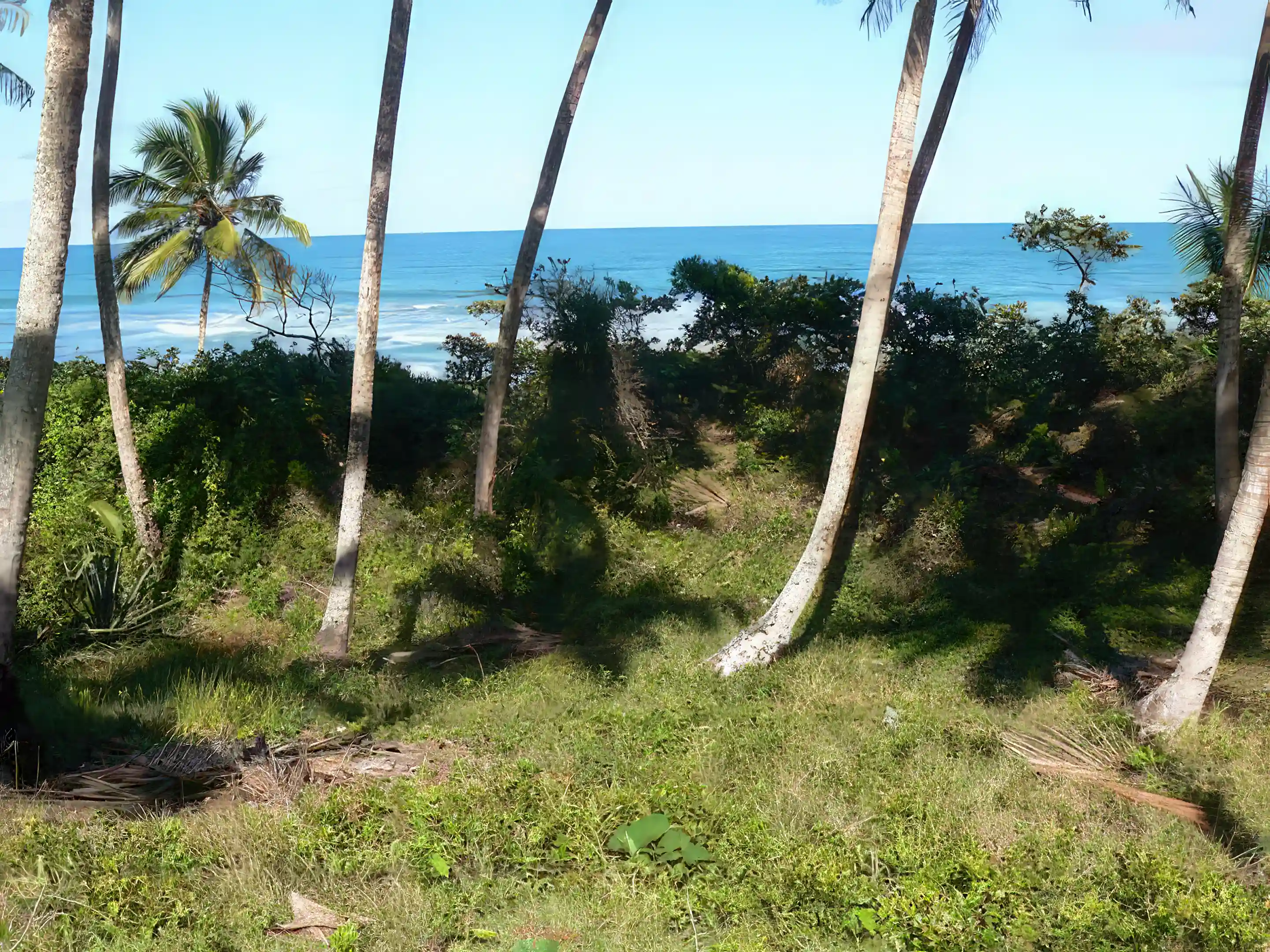 View from building site looking out at Ocean. Pool could...