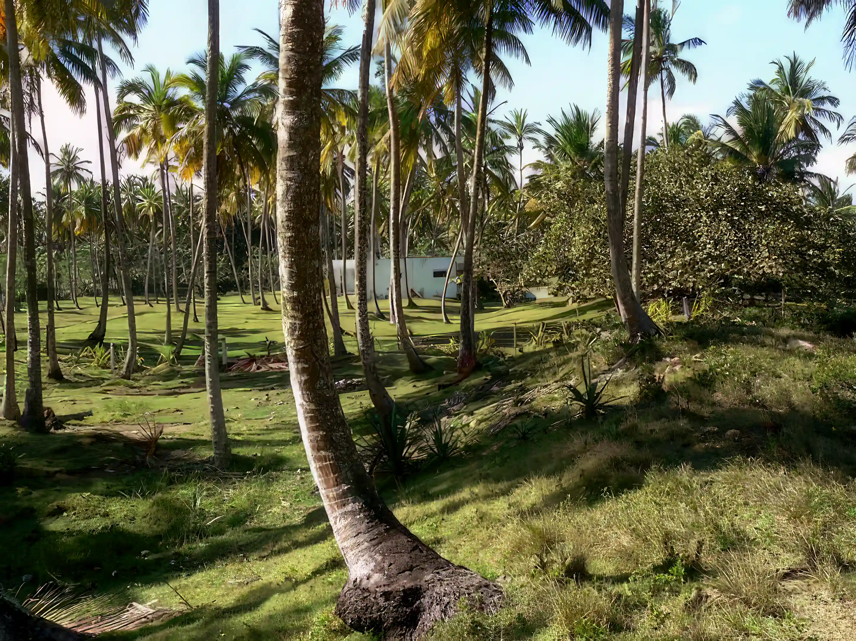 View taken from the building site looking west.