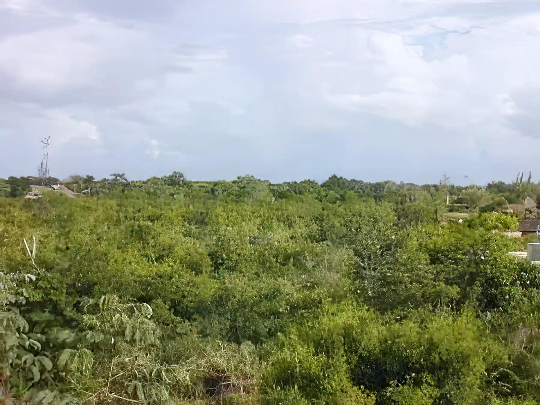 5,000,000 Usd for Sale in Costa Rica