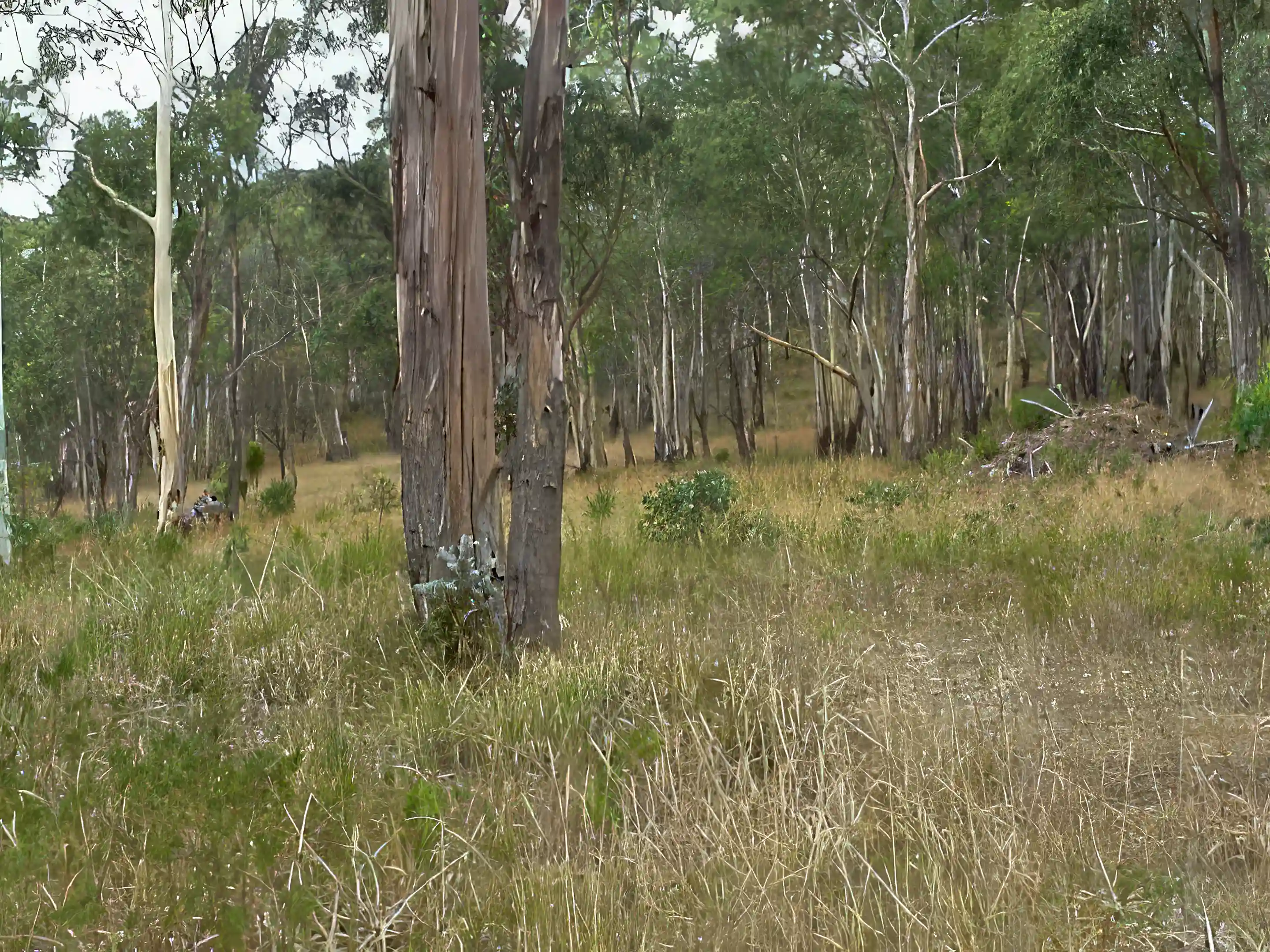 Home for Sale in Tasmania, Australia