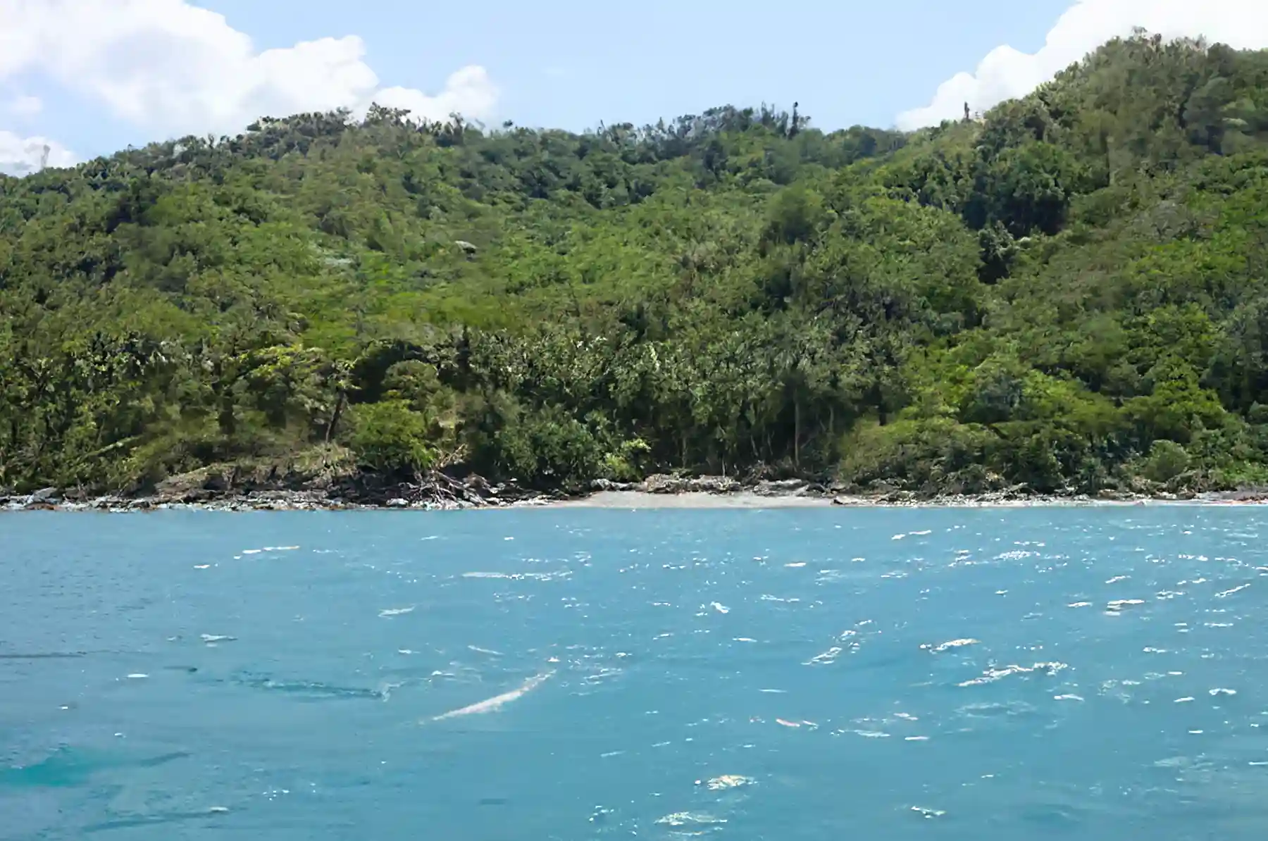 Lots/Land for Sale in Mindoro, Philippines Viviun