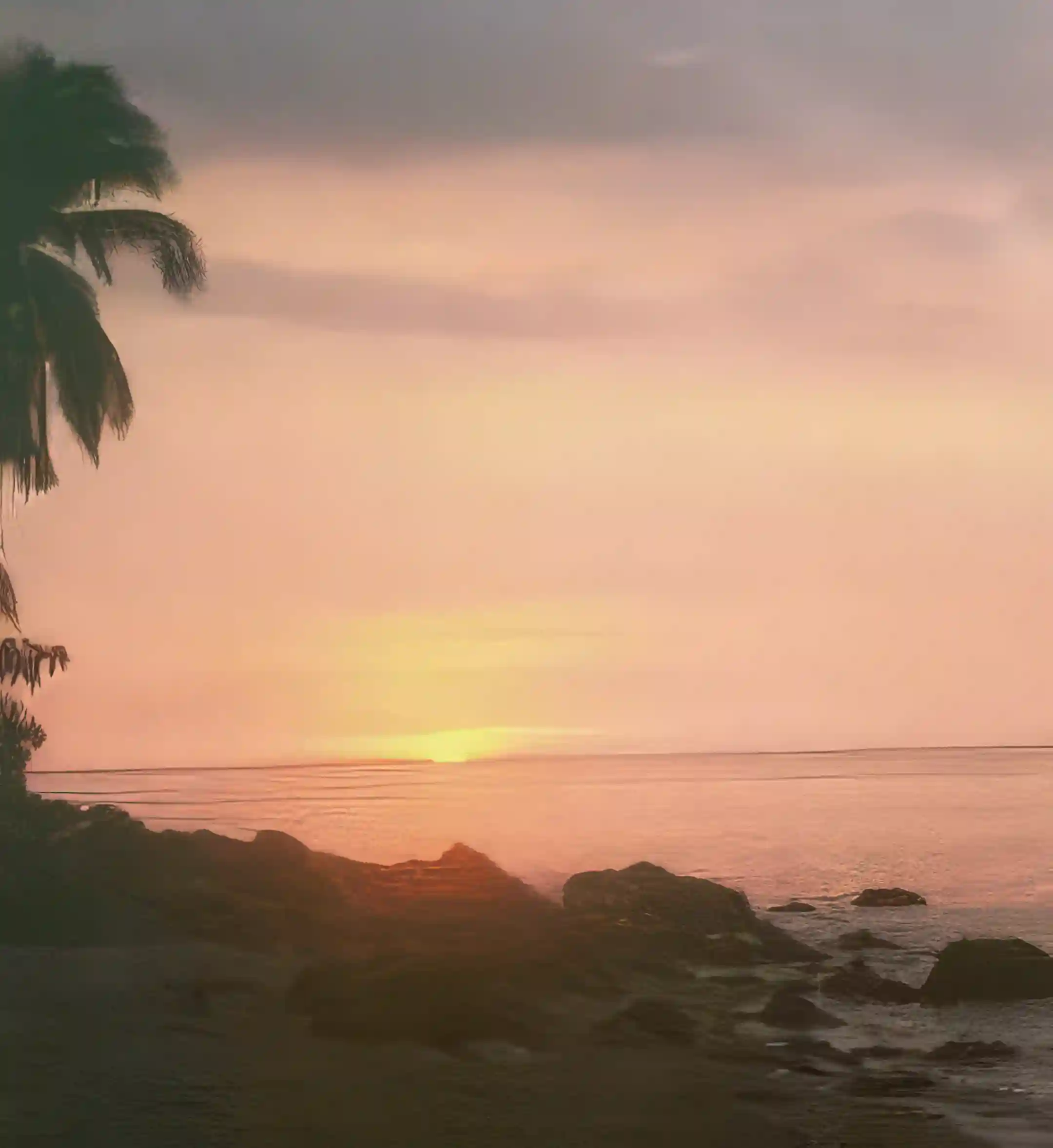 Lot/Land for Sale in Mindoro, Philippines Viviun