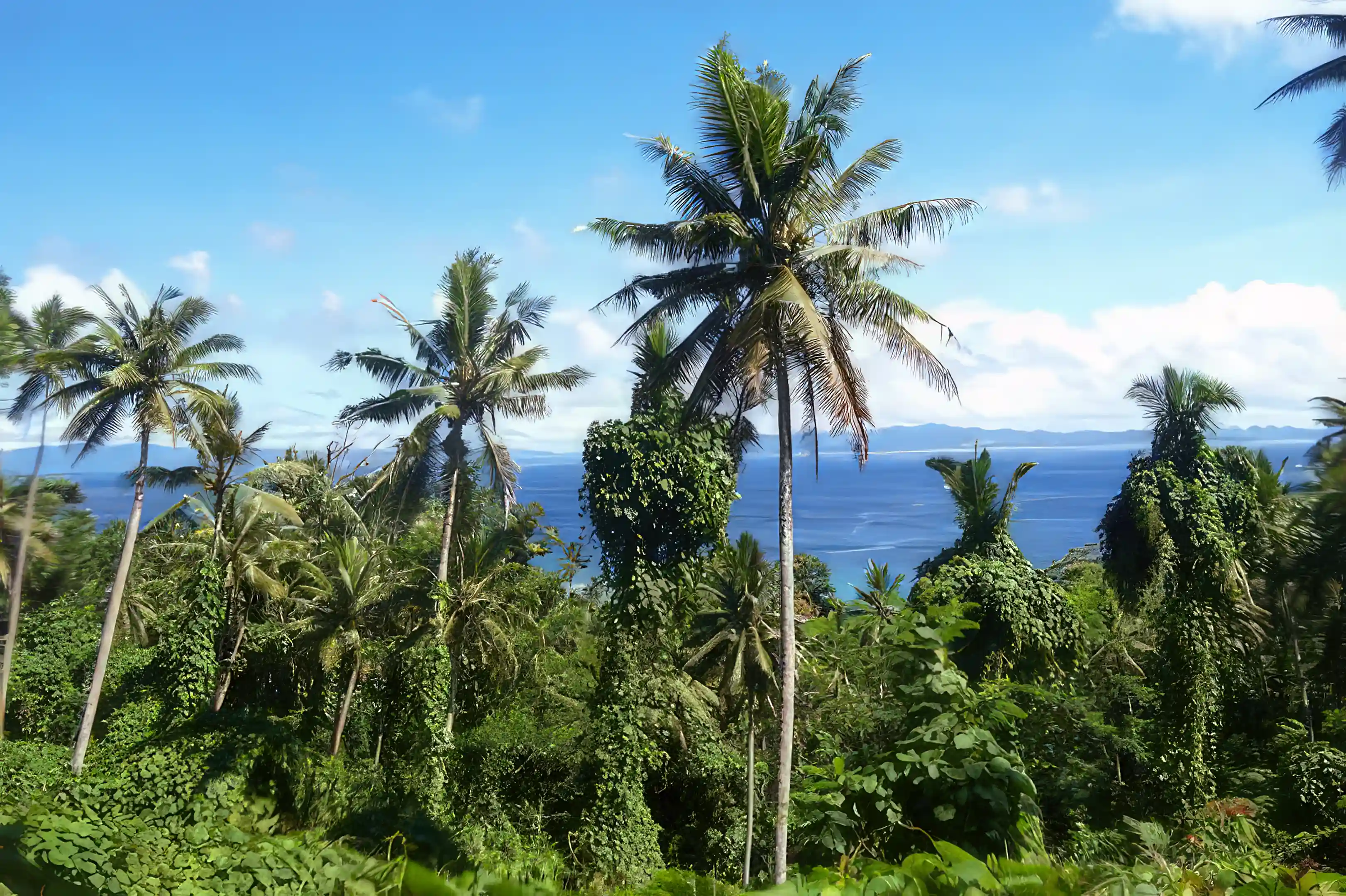 Freehold Land for Sale in Matei Coast Road, Taveuni, Matei, Fiji