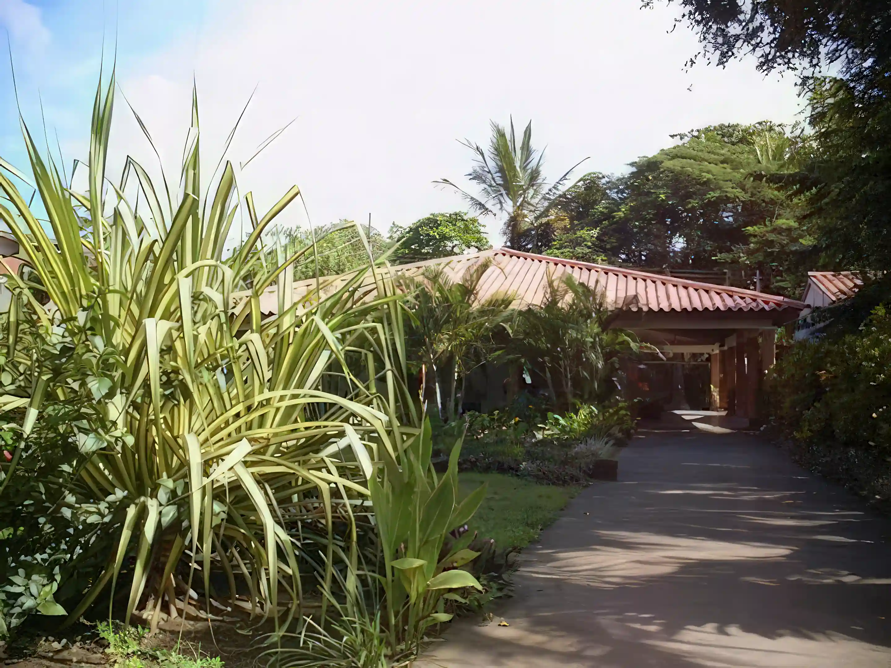 Surfside Villa for Sale and Rent in Punta Renas, Costa Rica