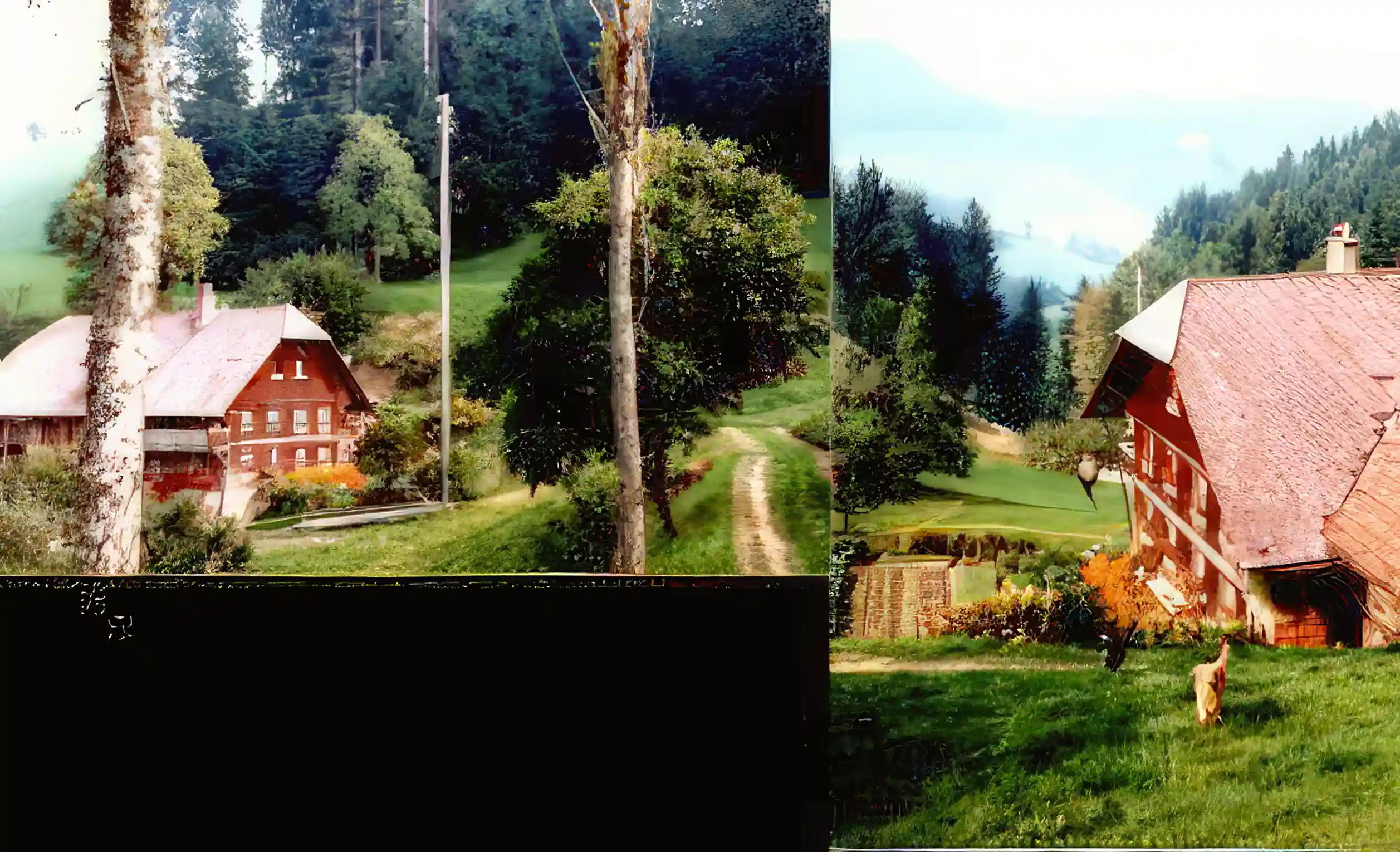 Hobby Farm for Sale in Luzern, Switzerland