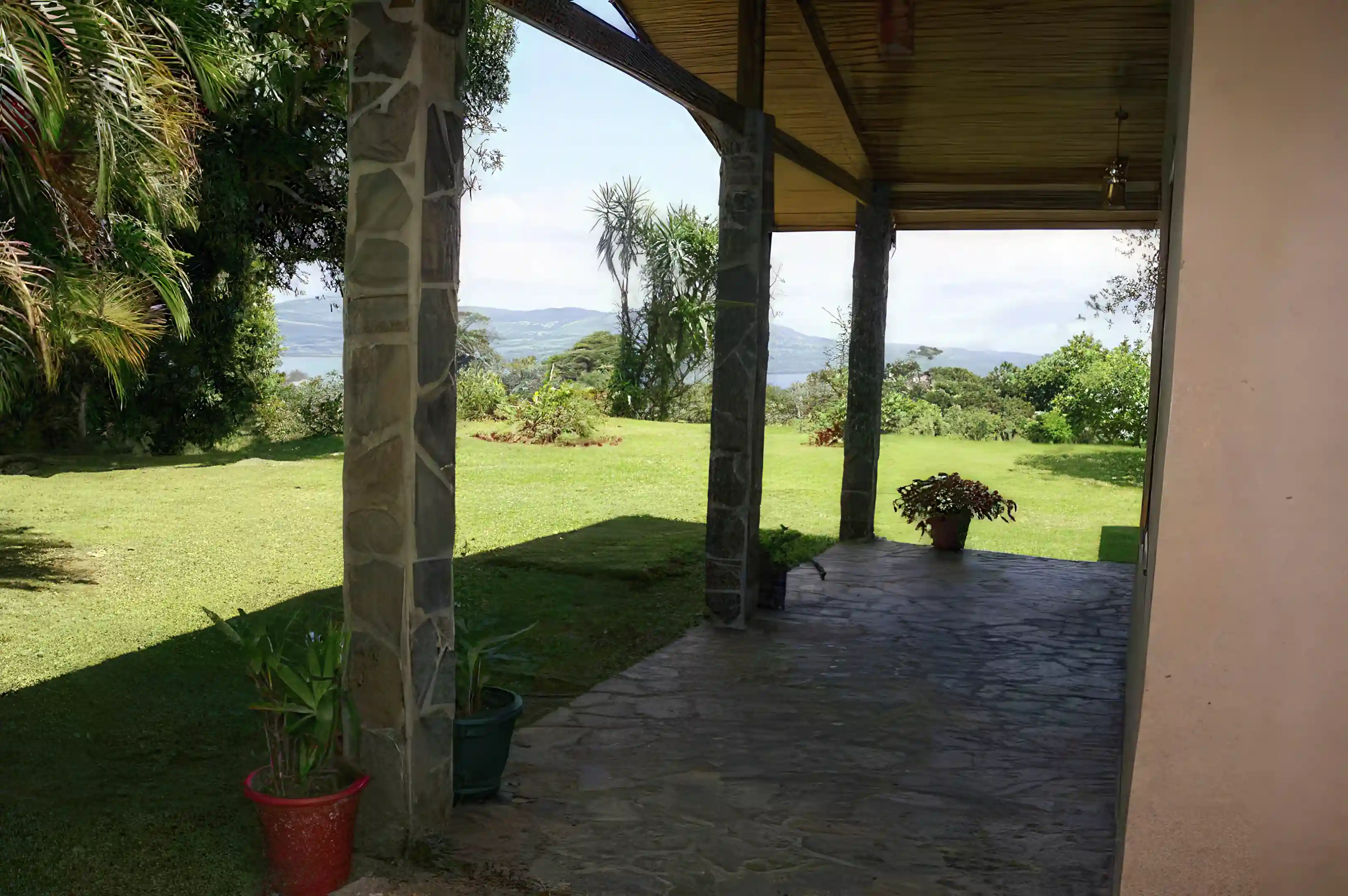 Patio View