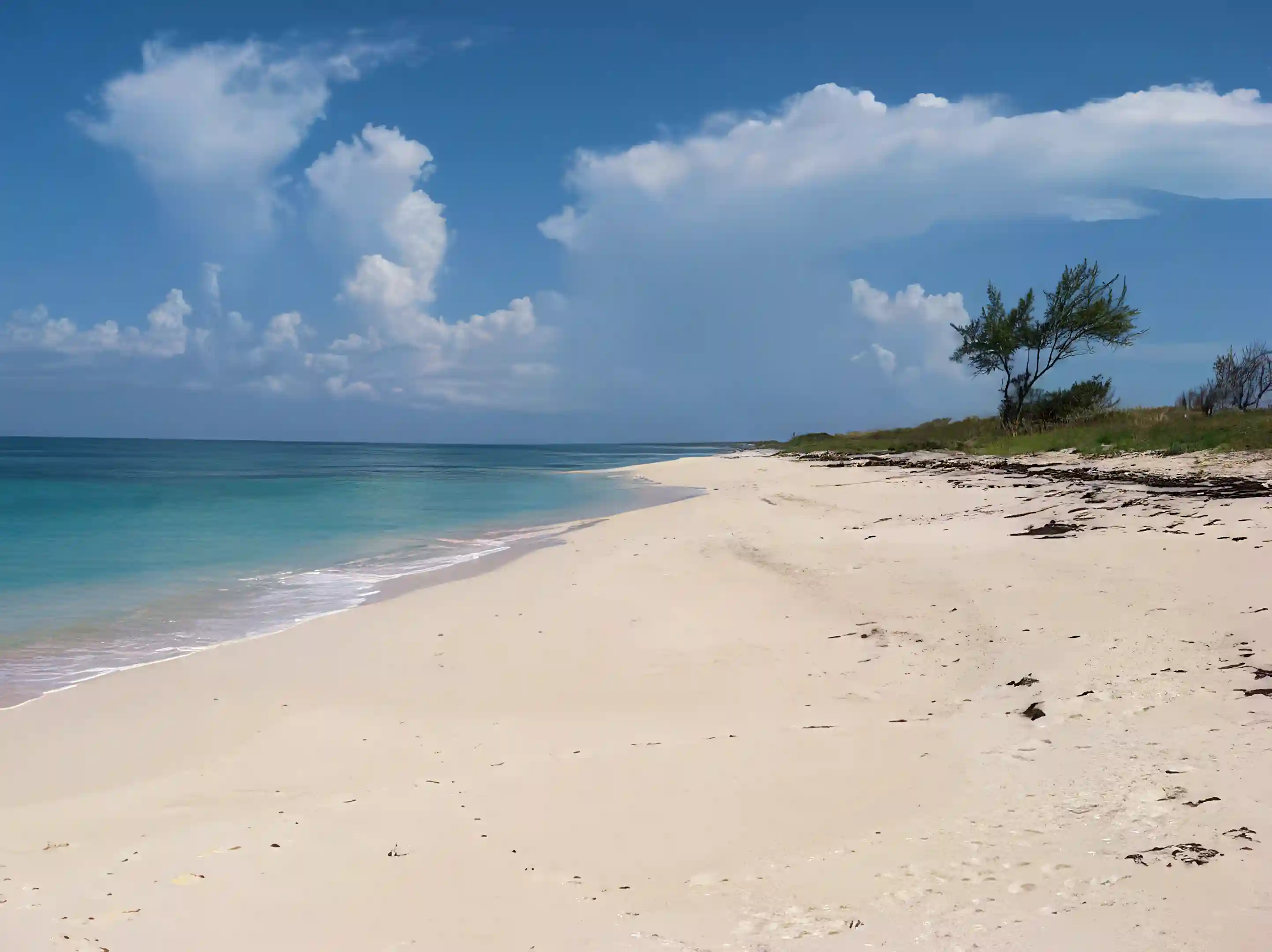 Buttonwood Beach facing south