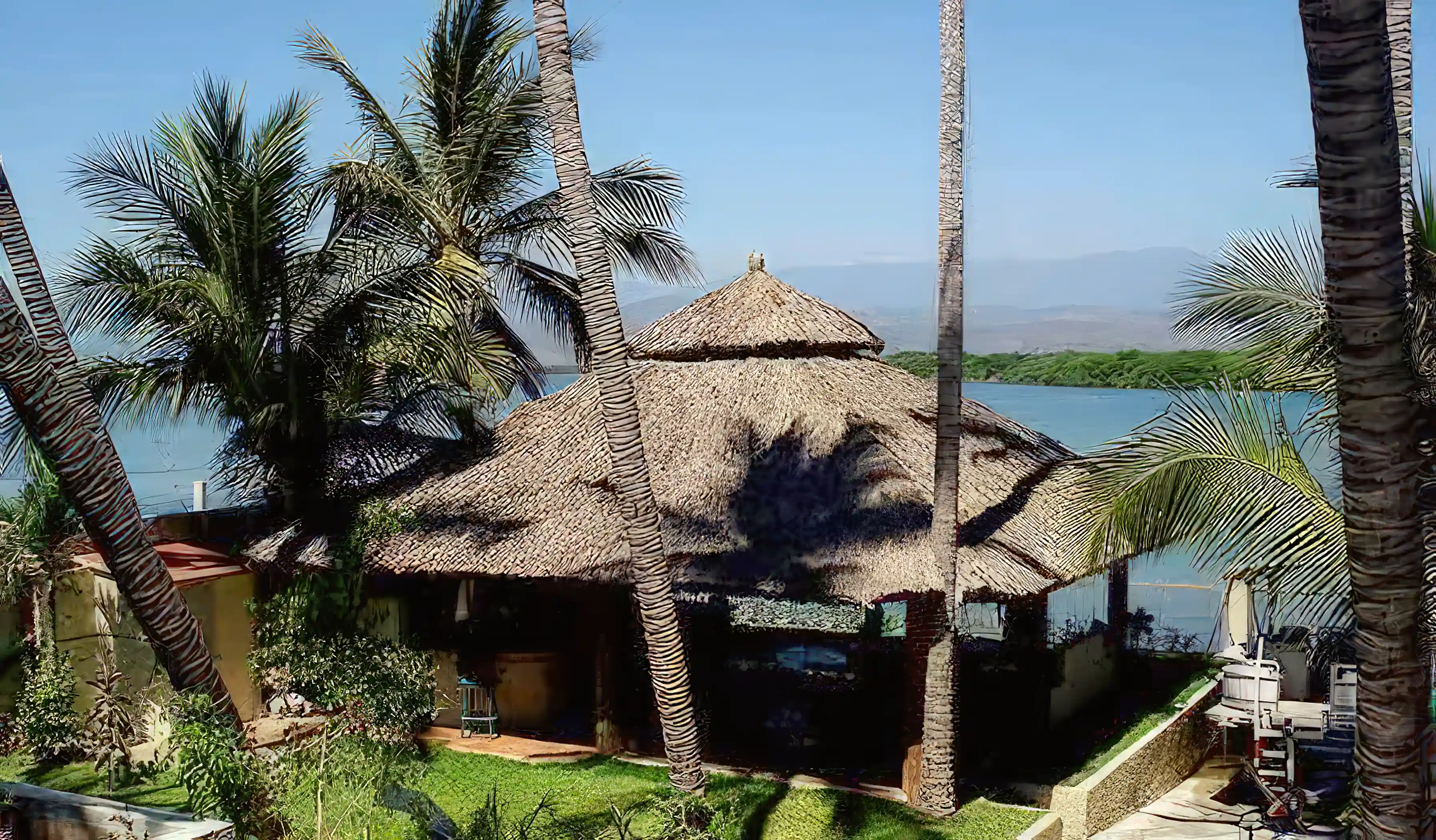 Palapa