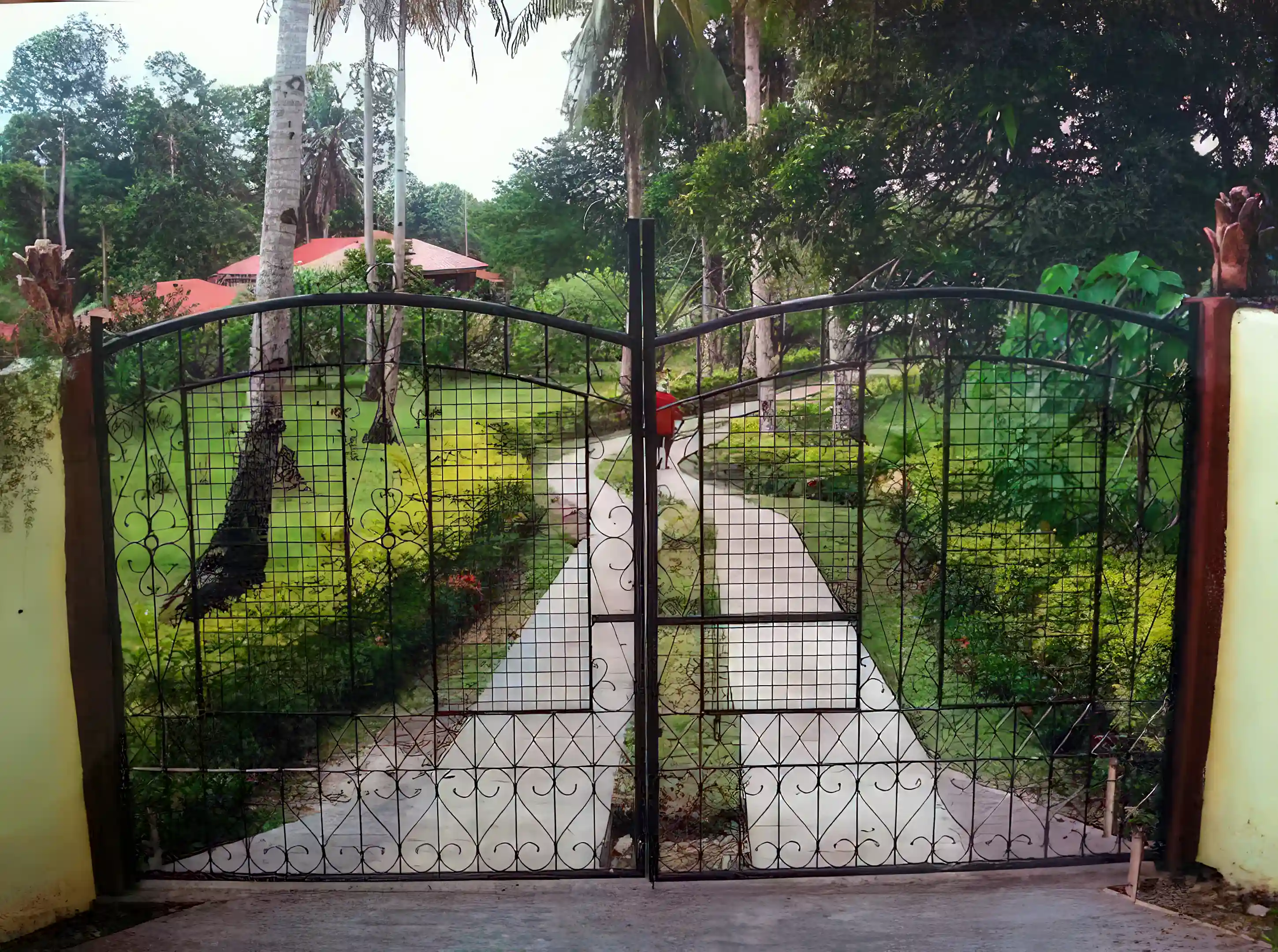 Residential/Agricultural Land for Sale in Iloilocity, Buenavista