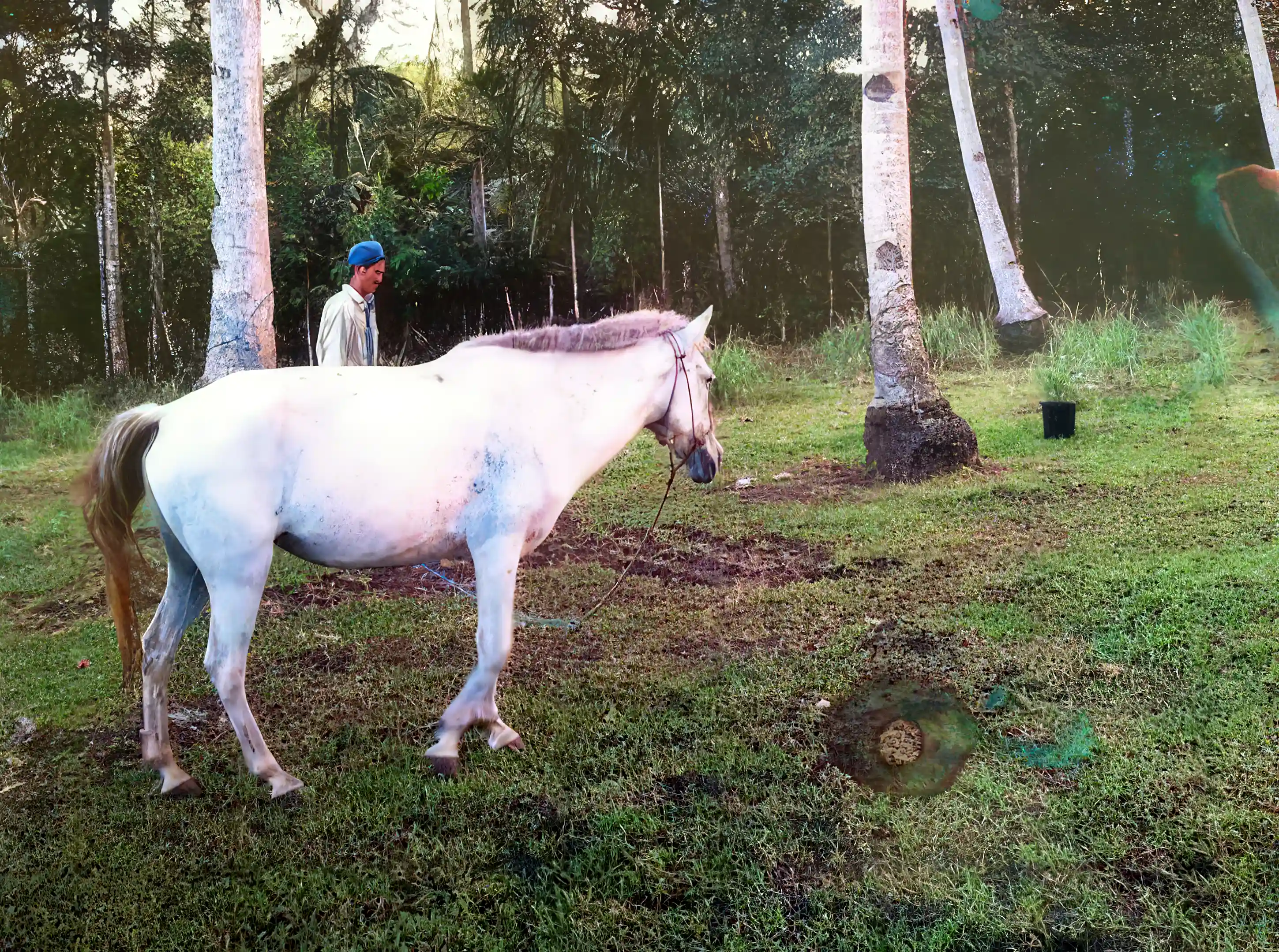 Residential/Agricultural Land for Sale in Iloilocity, Buenavista