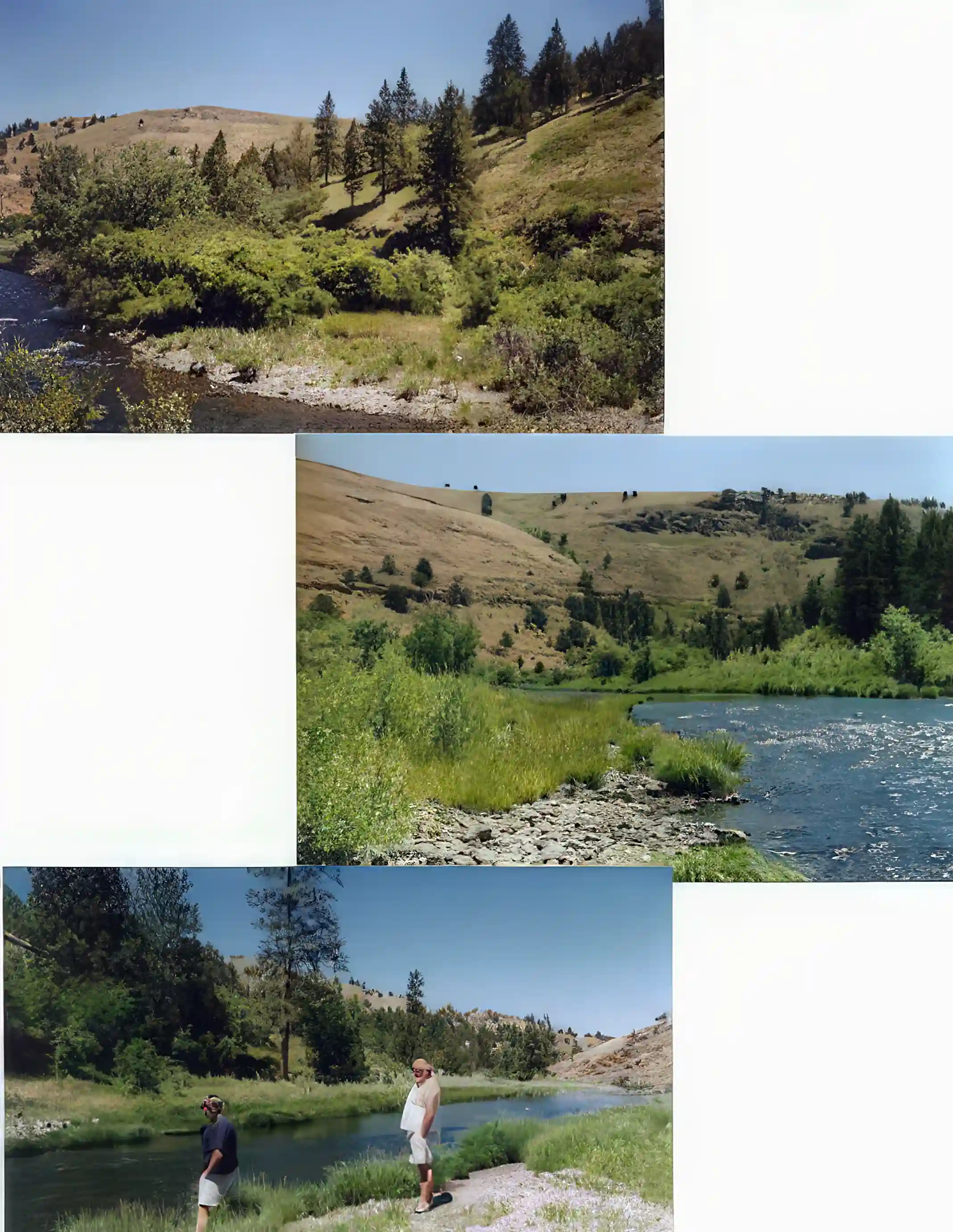 Lot/Land for Sale in Oregon, USA