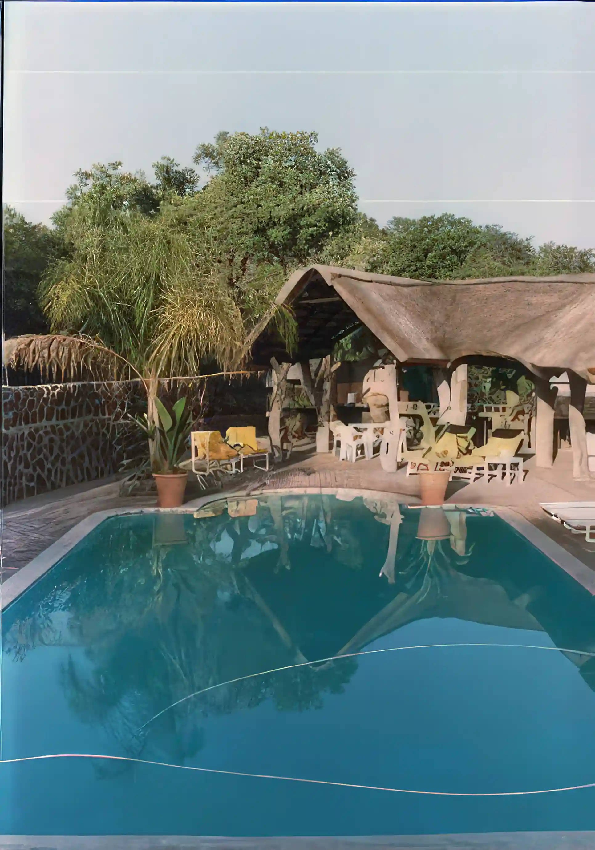 Game Farm for Sale in Northern Province, South Africa