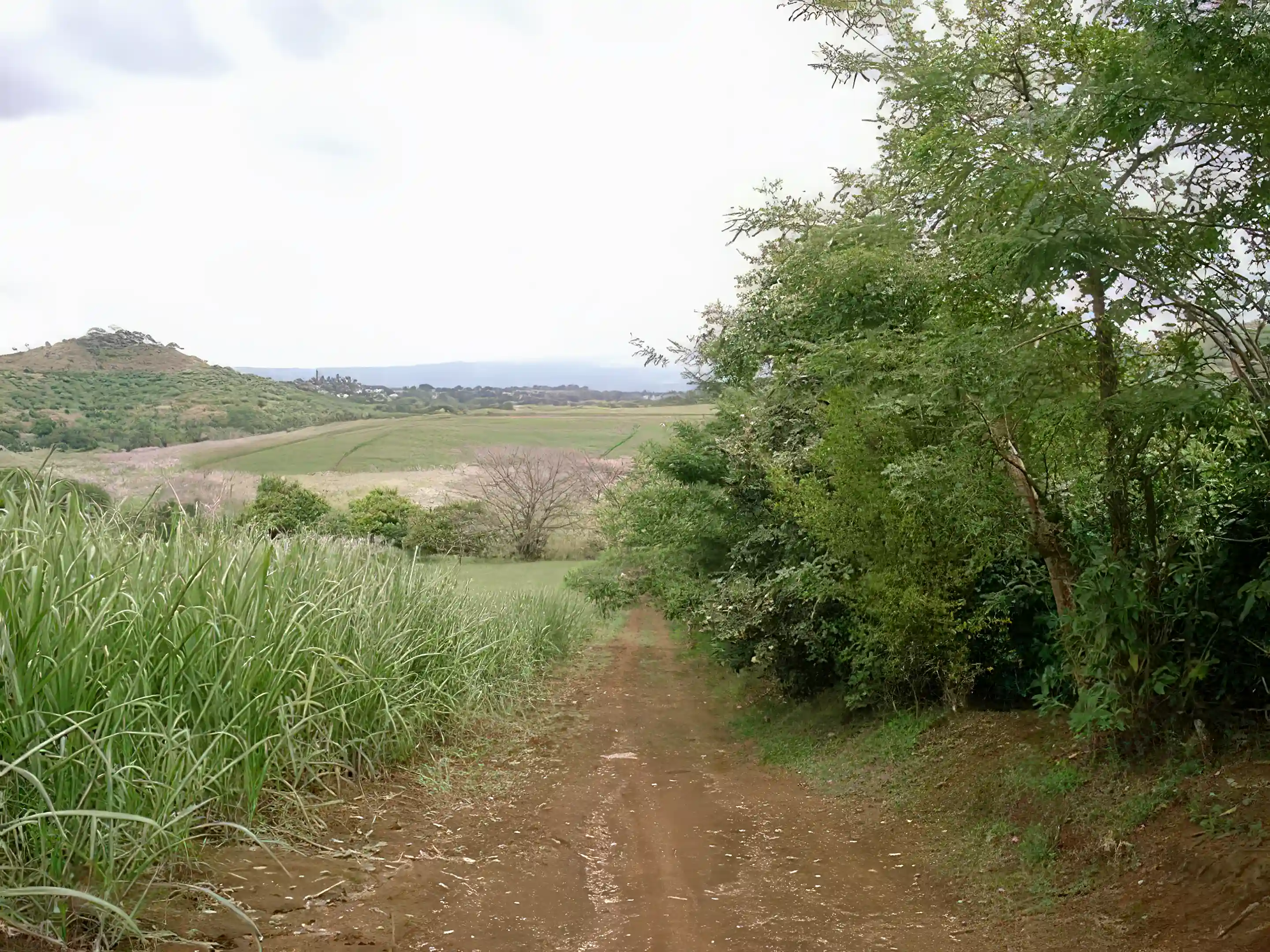 Lot/Land for Sale in Grecia, Costa Rica