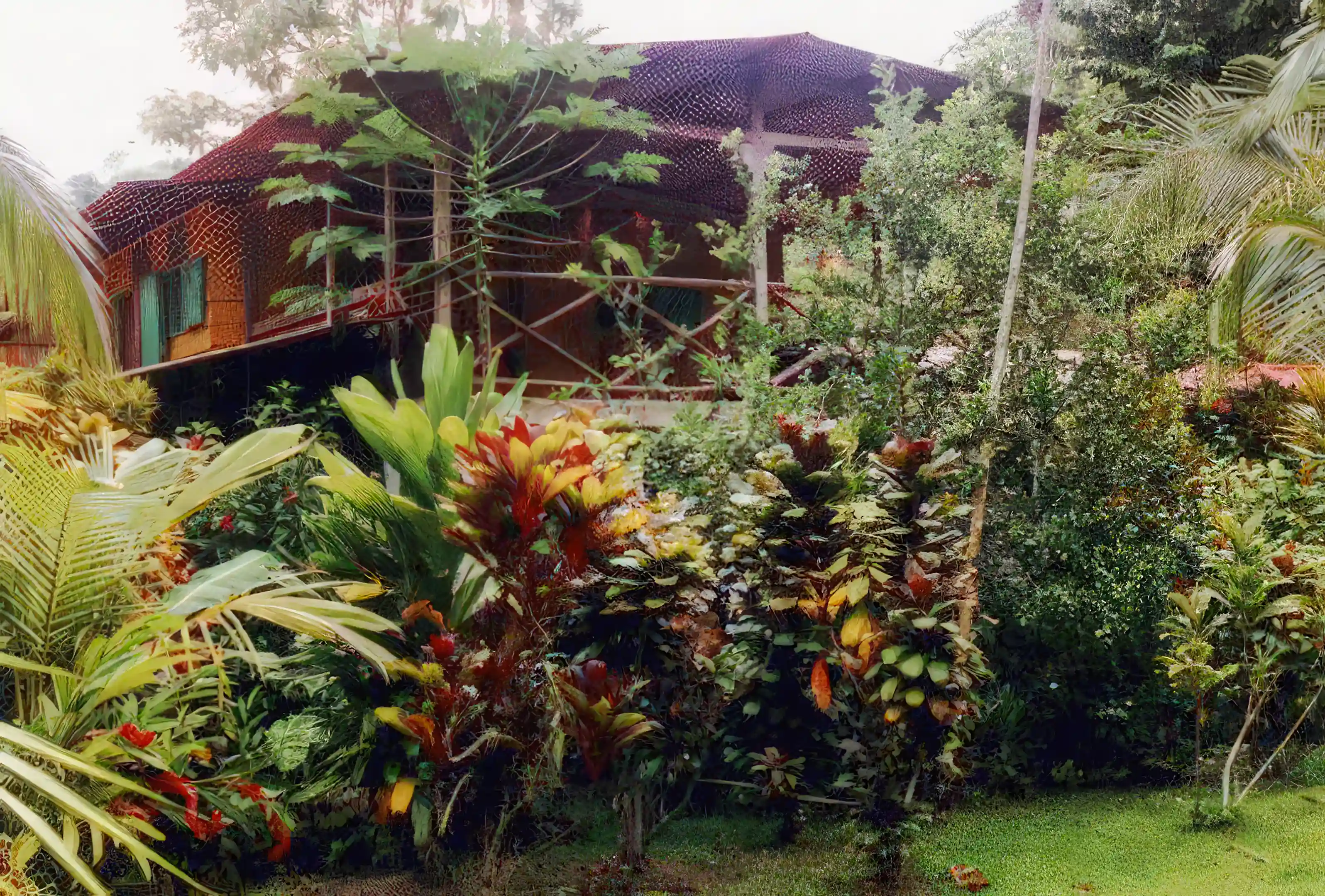 Beachfront Property for Sale in Golfito, Costa Rica