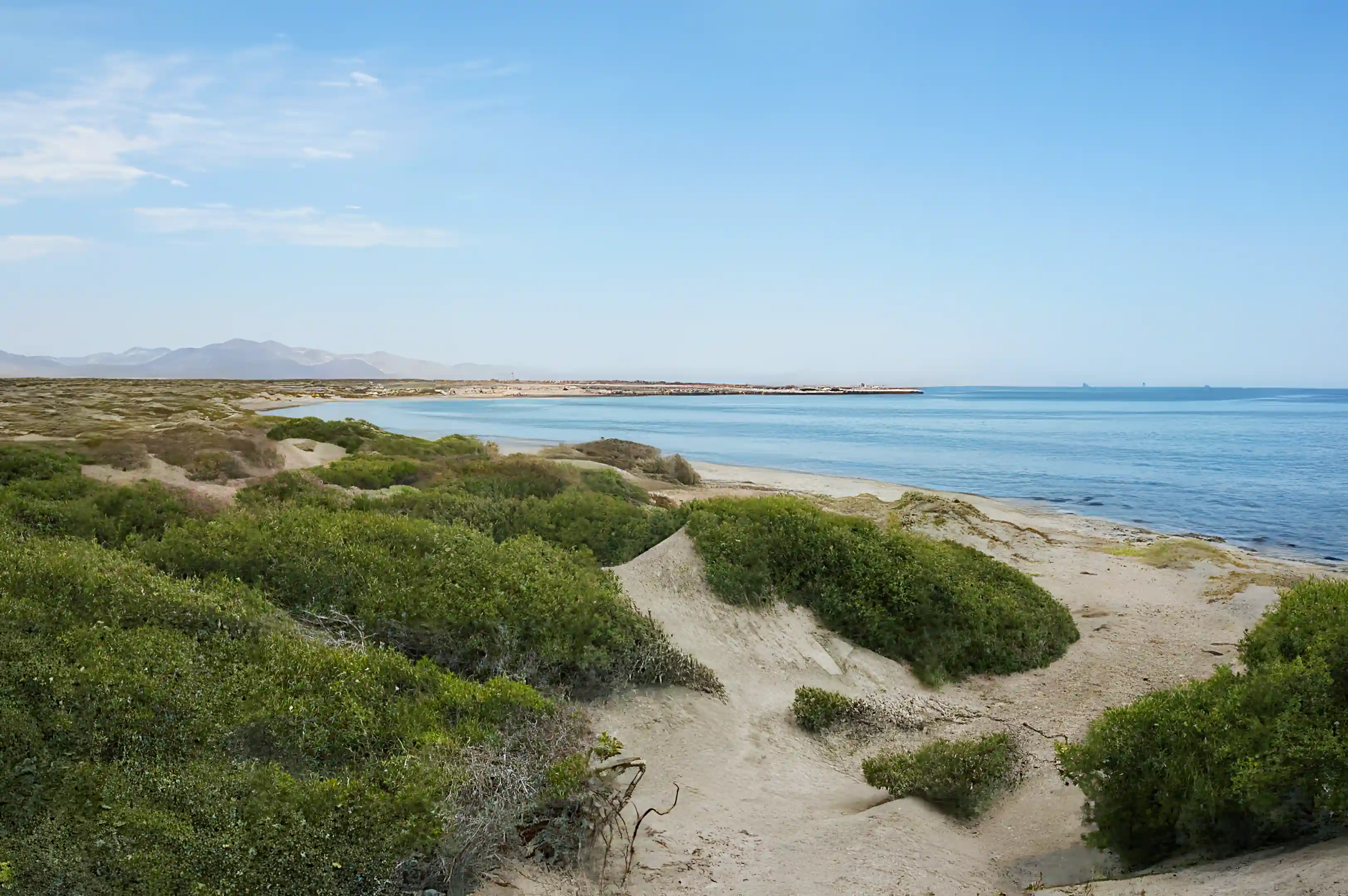 Beachfront Lots for Sale in North of Mulege, San Bruno/Punta San Rafeal