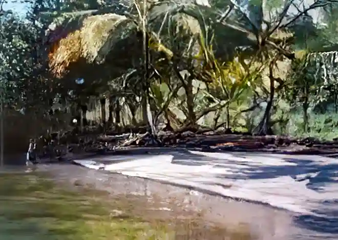 Lot/Land for Sale in Bocas, Panama