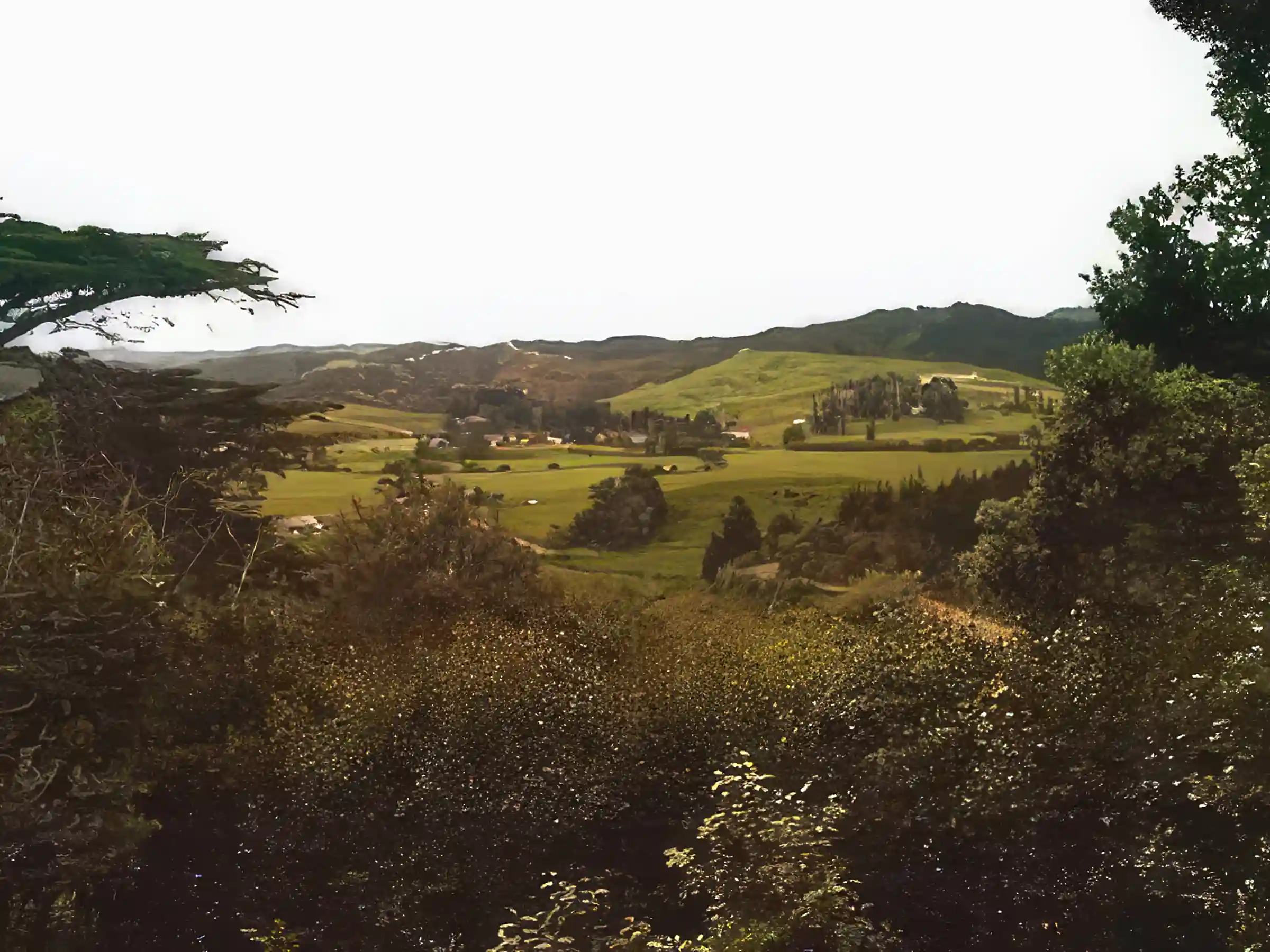 Farms/Ranches for Sale in New Zealand Viviun