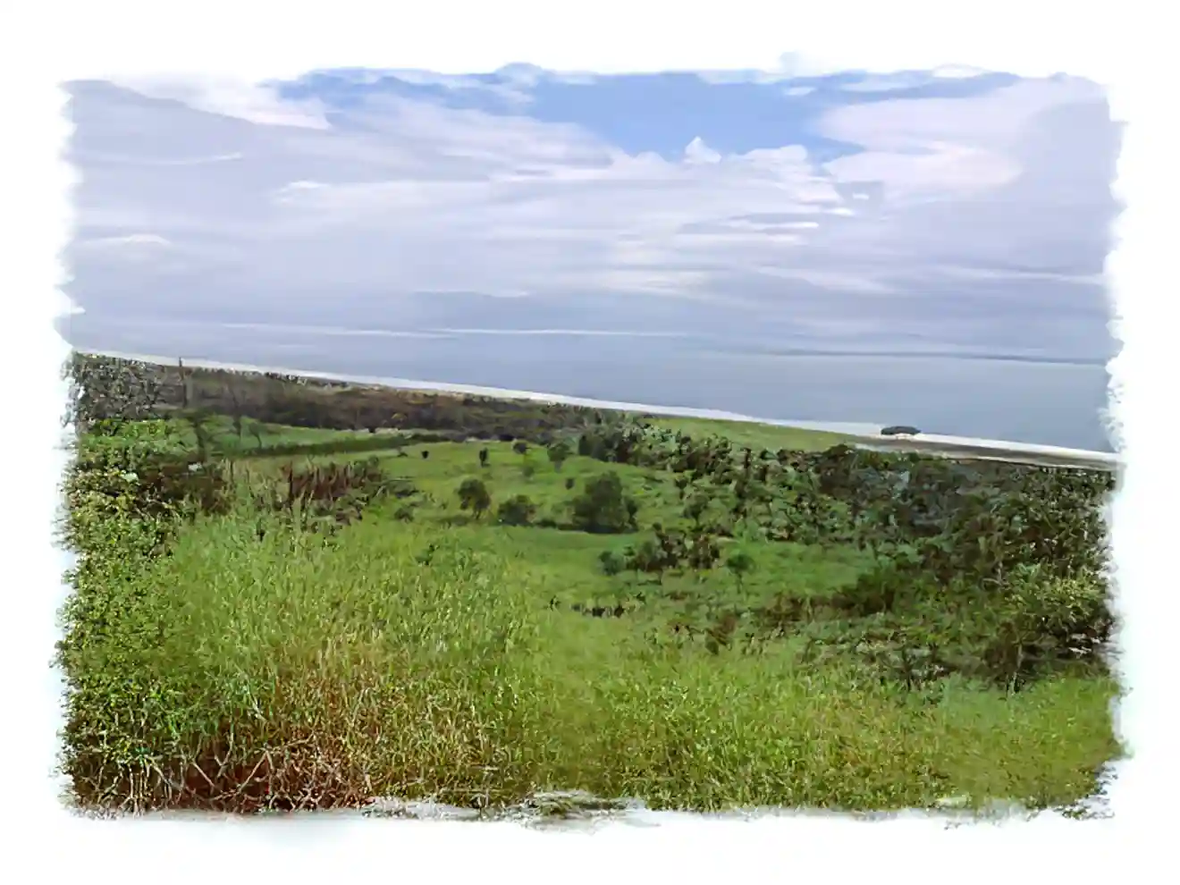 Condo for Sale in Playa Hermosa, Costa Rica