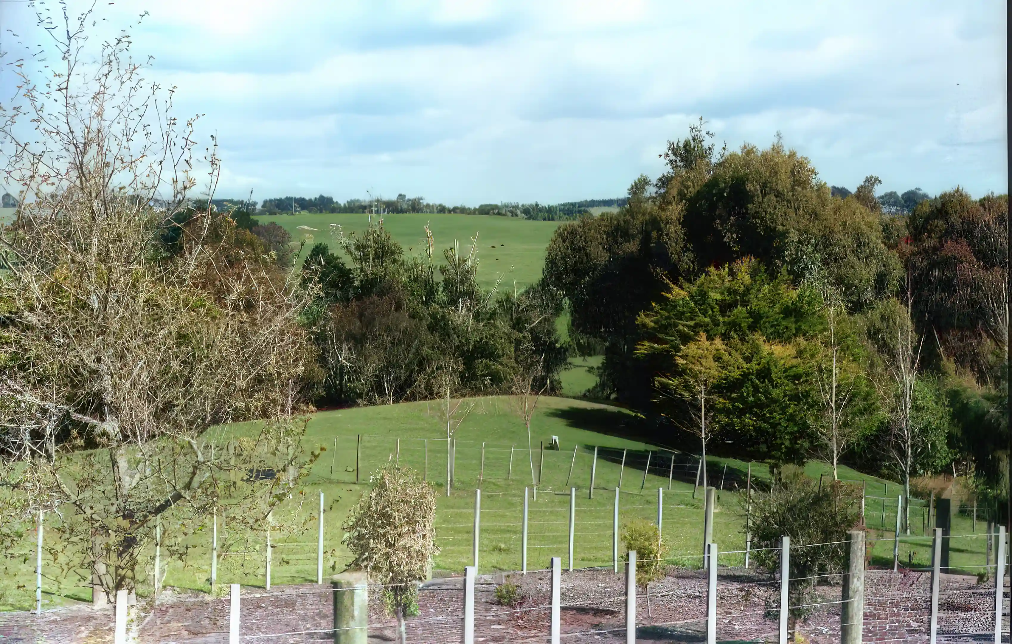Lifestyle Block & Dwelling for Sale in Auckland, New Zealand