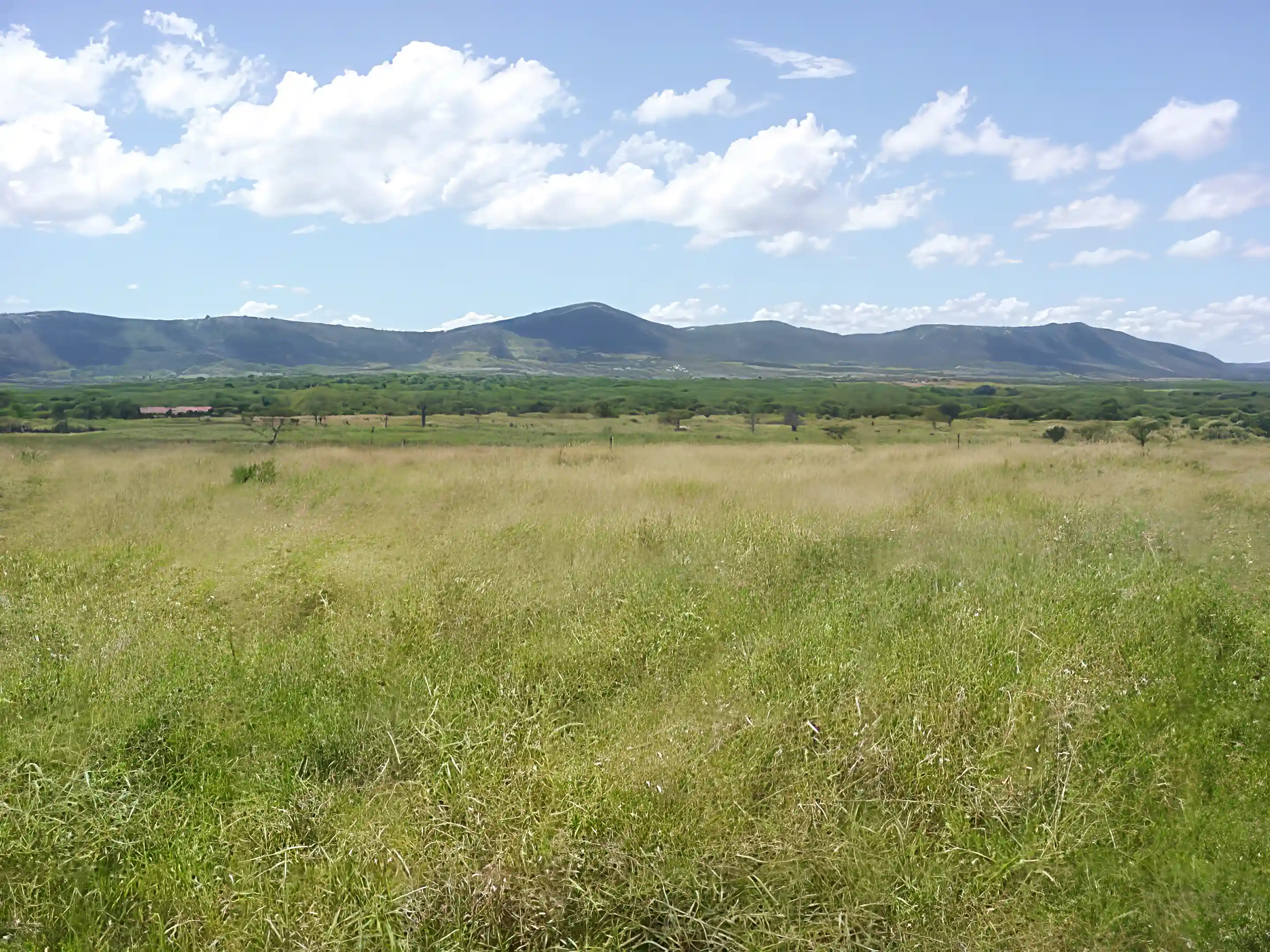 Farm/Ranch for Sale in Kwazulu Natal, South Africa