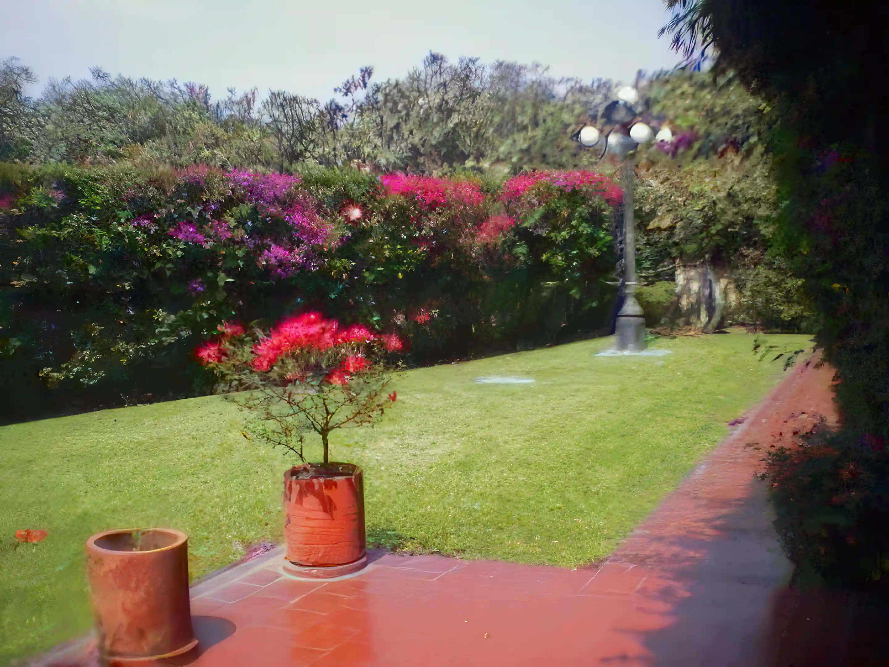 Home for Sale and Rent in Guadalajara, Jalisco, Mexico Viviun