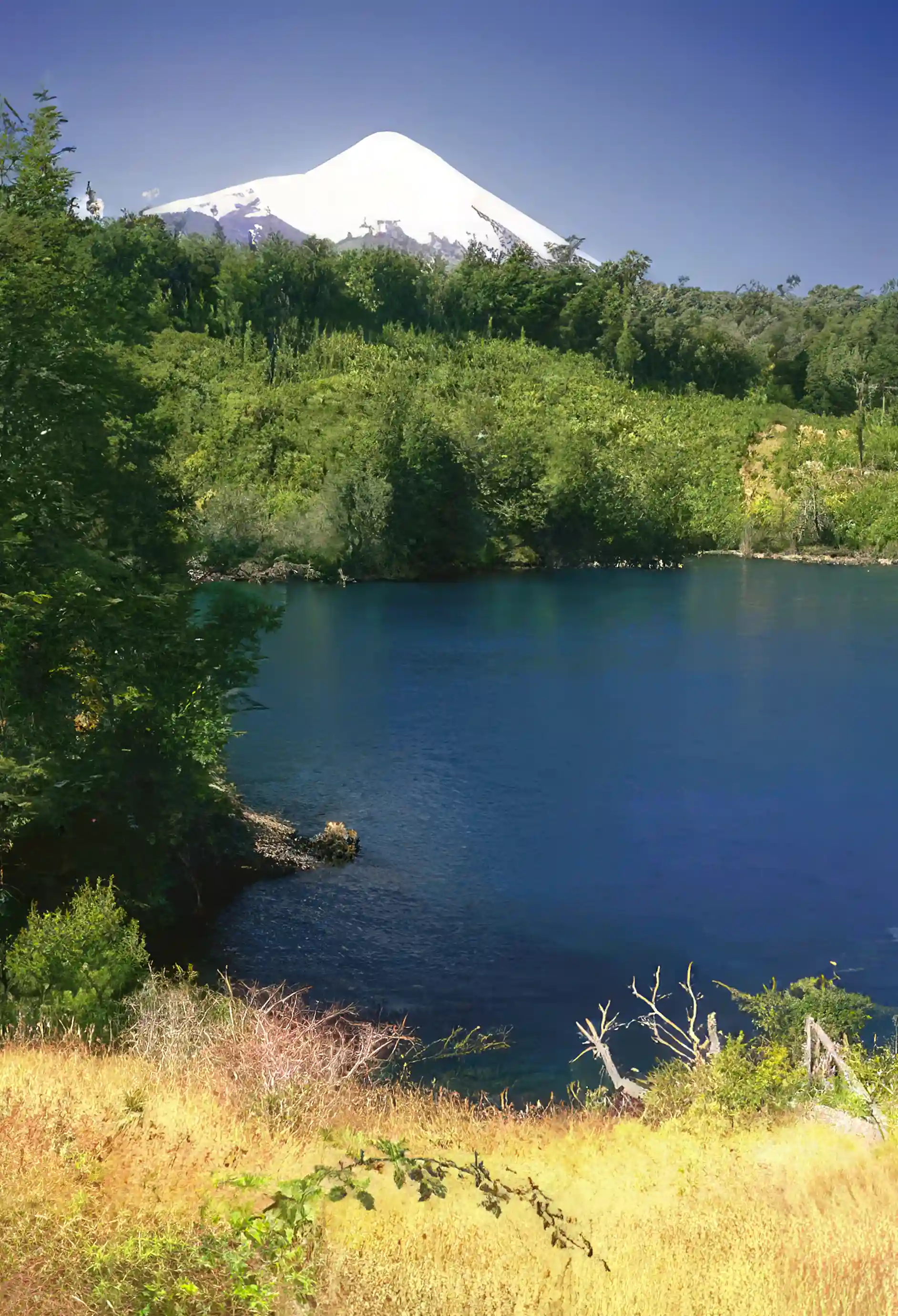 Lot/Land for Sale in X. Region, Chile