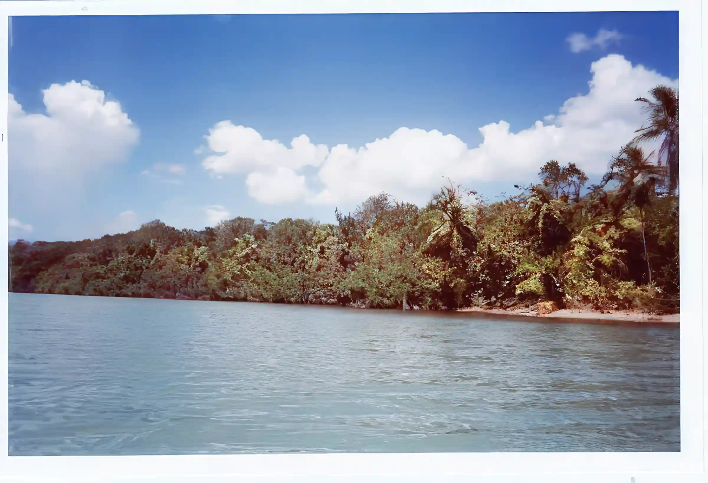 Lot/Land for Sale in Toledo District, Belize