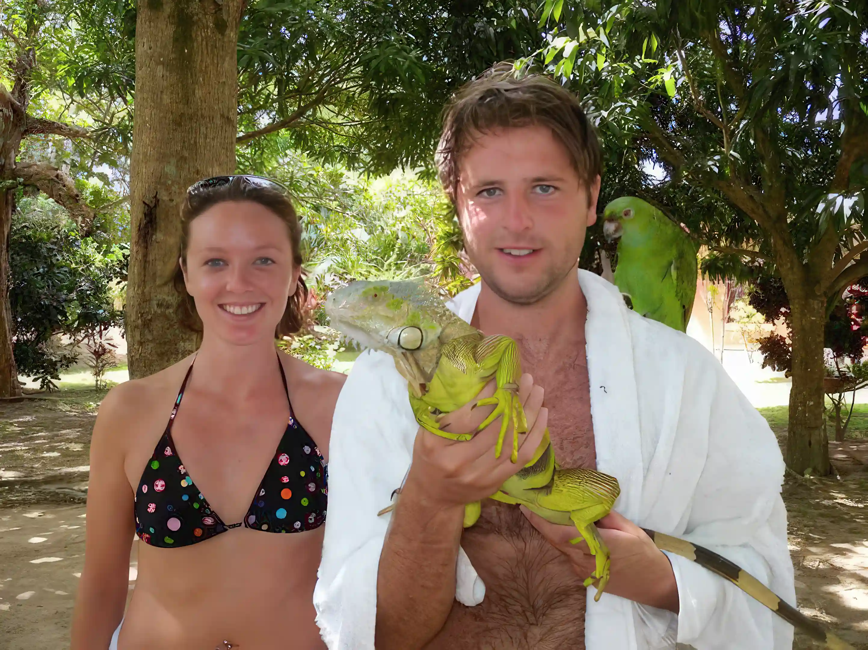Lots of Tropical pets