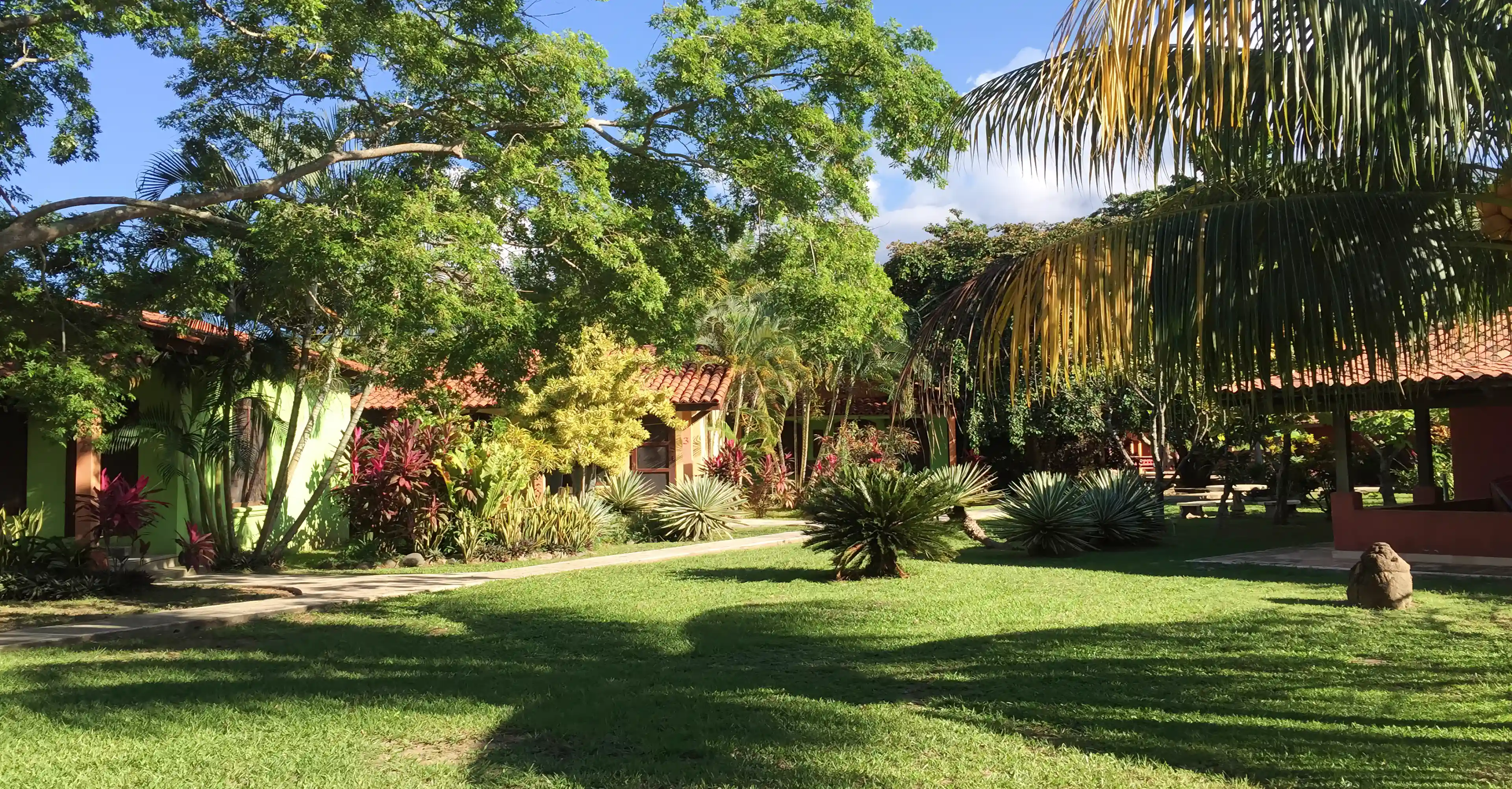 Tranquility tropical garden like vegetation