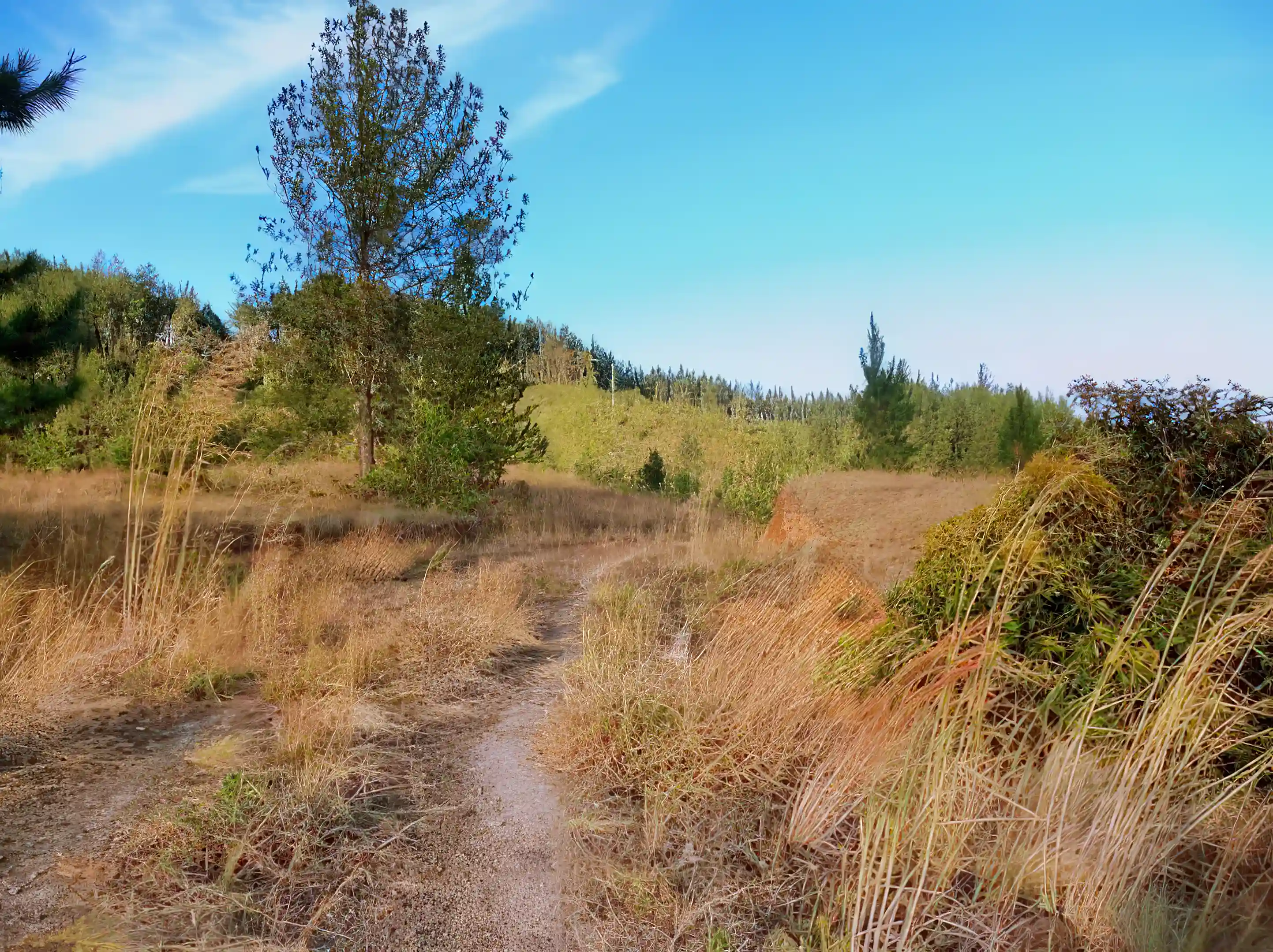 Lot/Land for Sale in Santa Fe, Veraguas, Panama