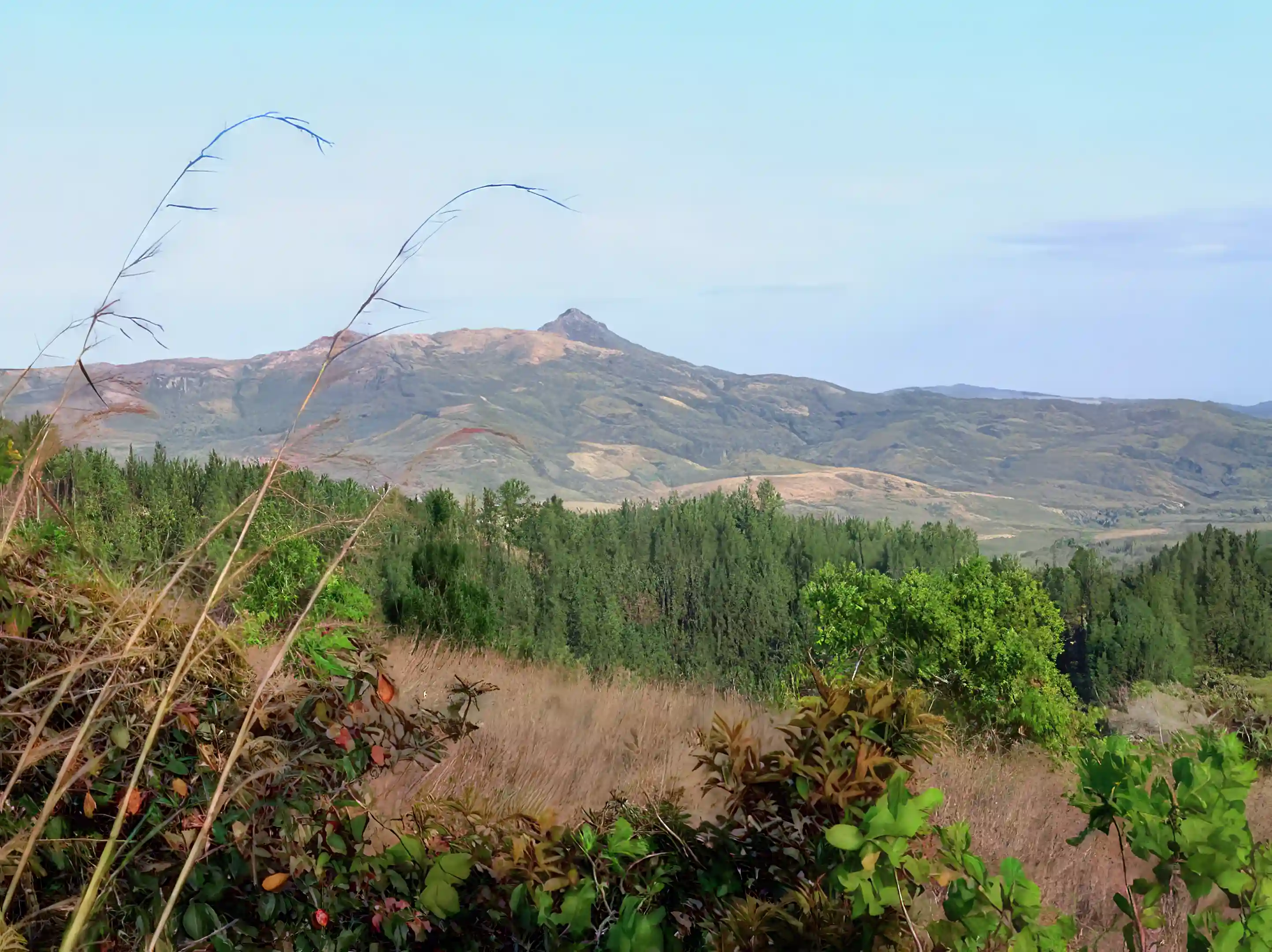 Lot/Land for Sale in Santa Fe, Veraguas, Panama
