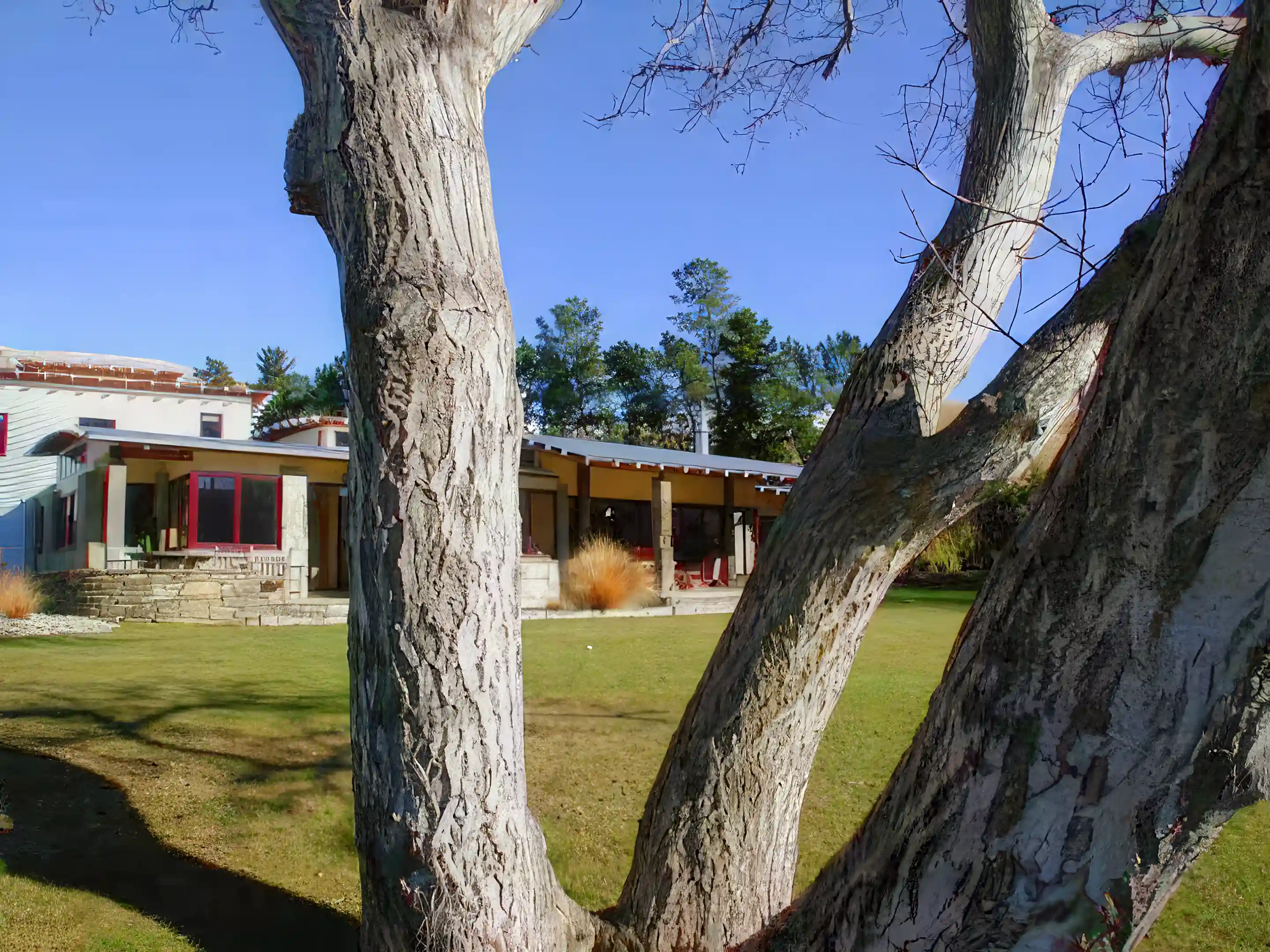 Farms/Ranches for Sale in New Zealand Viviun