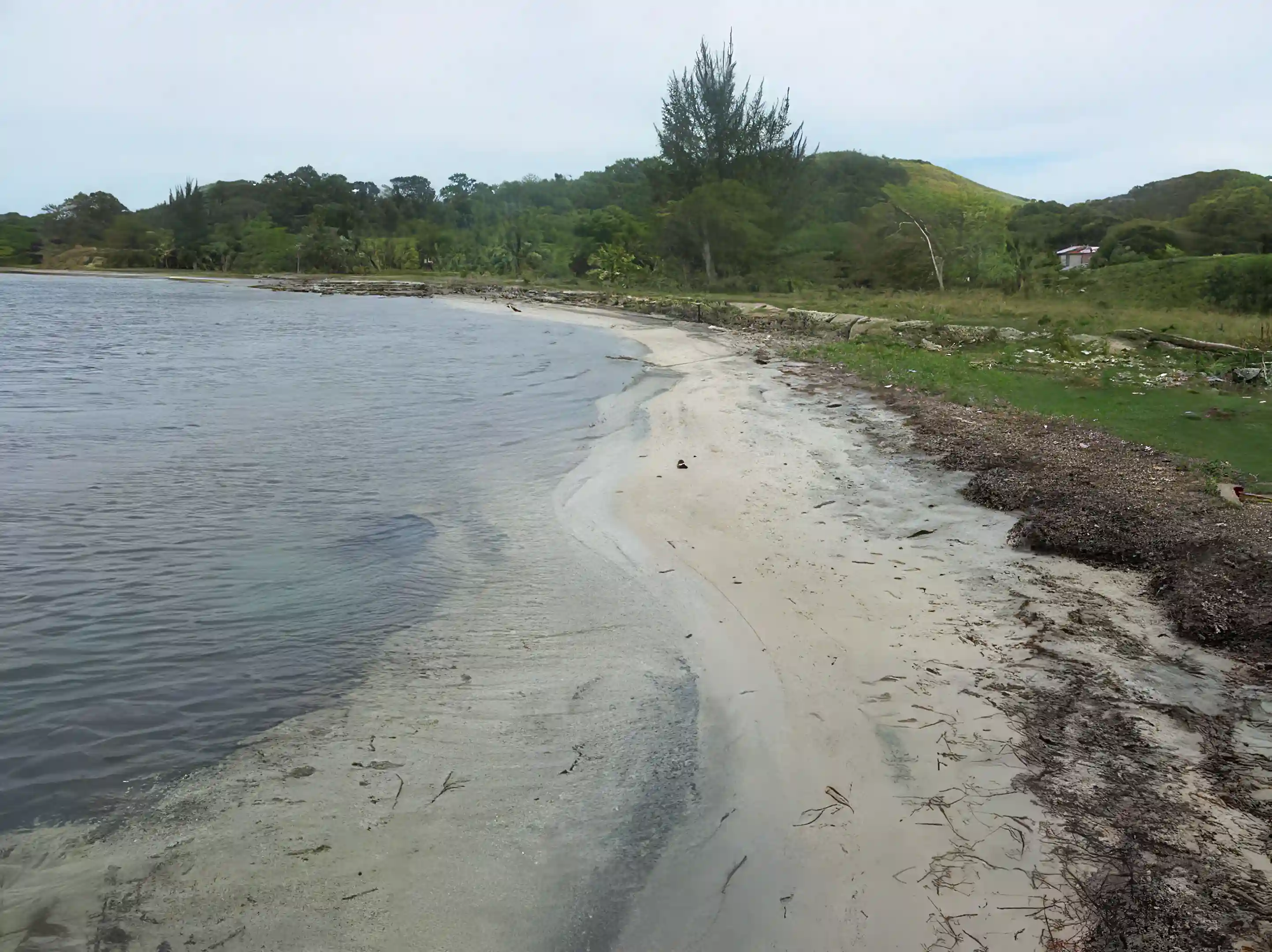 Beach view