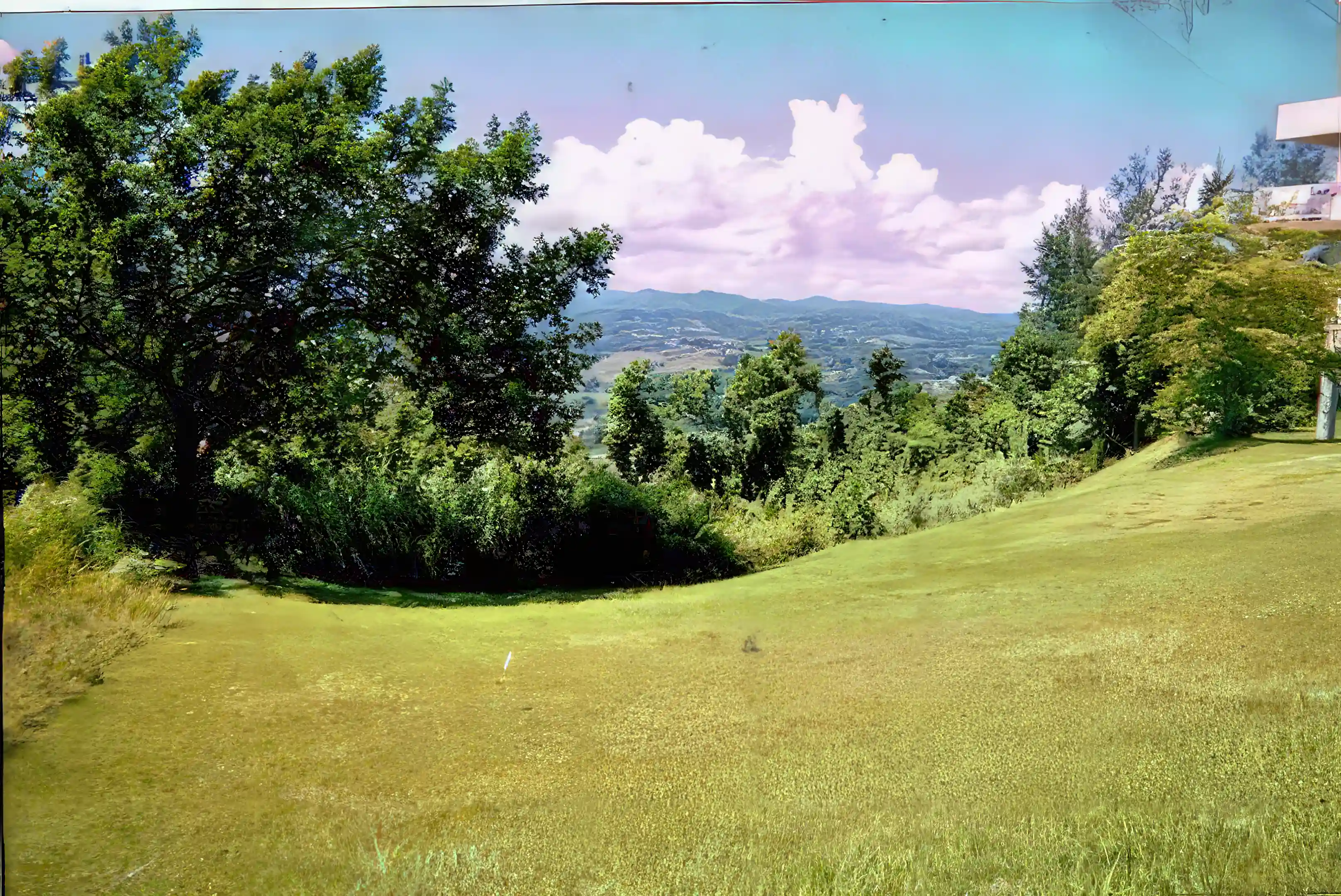 Unimproved Mountain Top Land for Sale in Pr445, Km 2.0 Int., Barrio