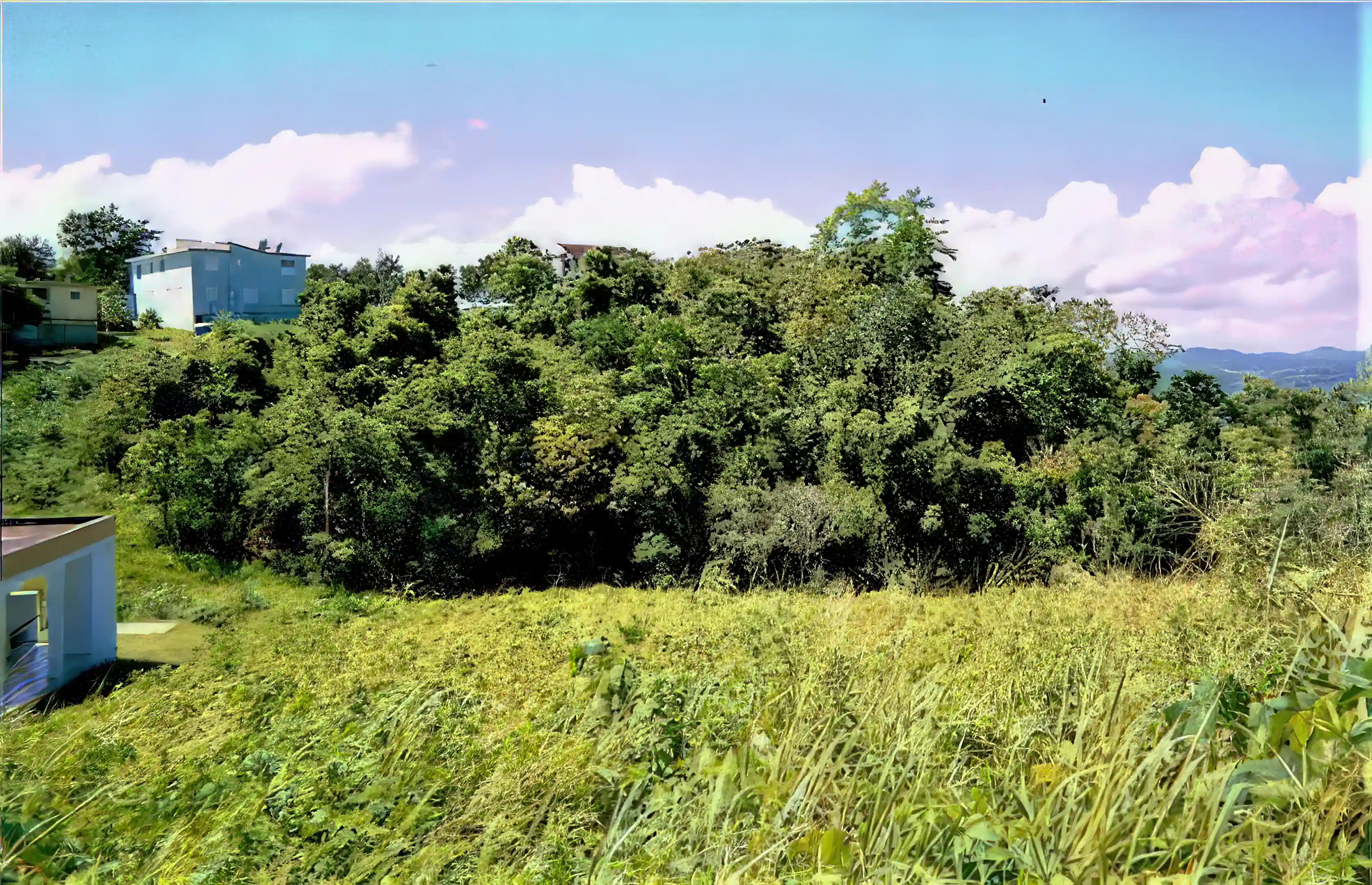 Unimproved Mountain Top Land for Sale in Pr445, Km 2.0 Int., Barrio